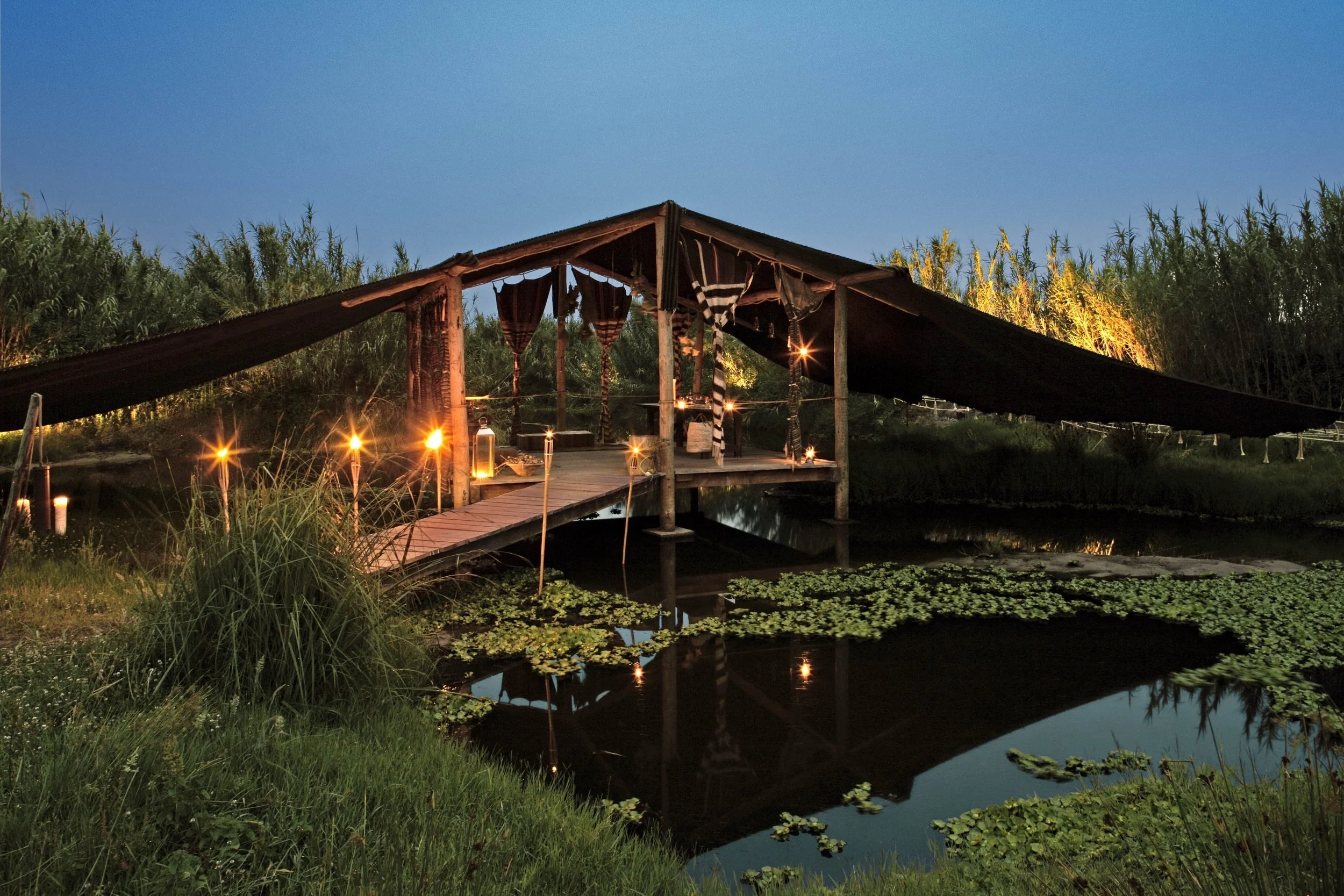 The Regenerative Table: Farm, Forest,&nbsp;Sea-To-Plate Journeys