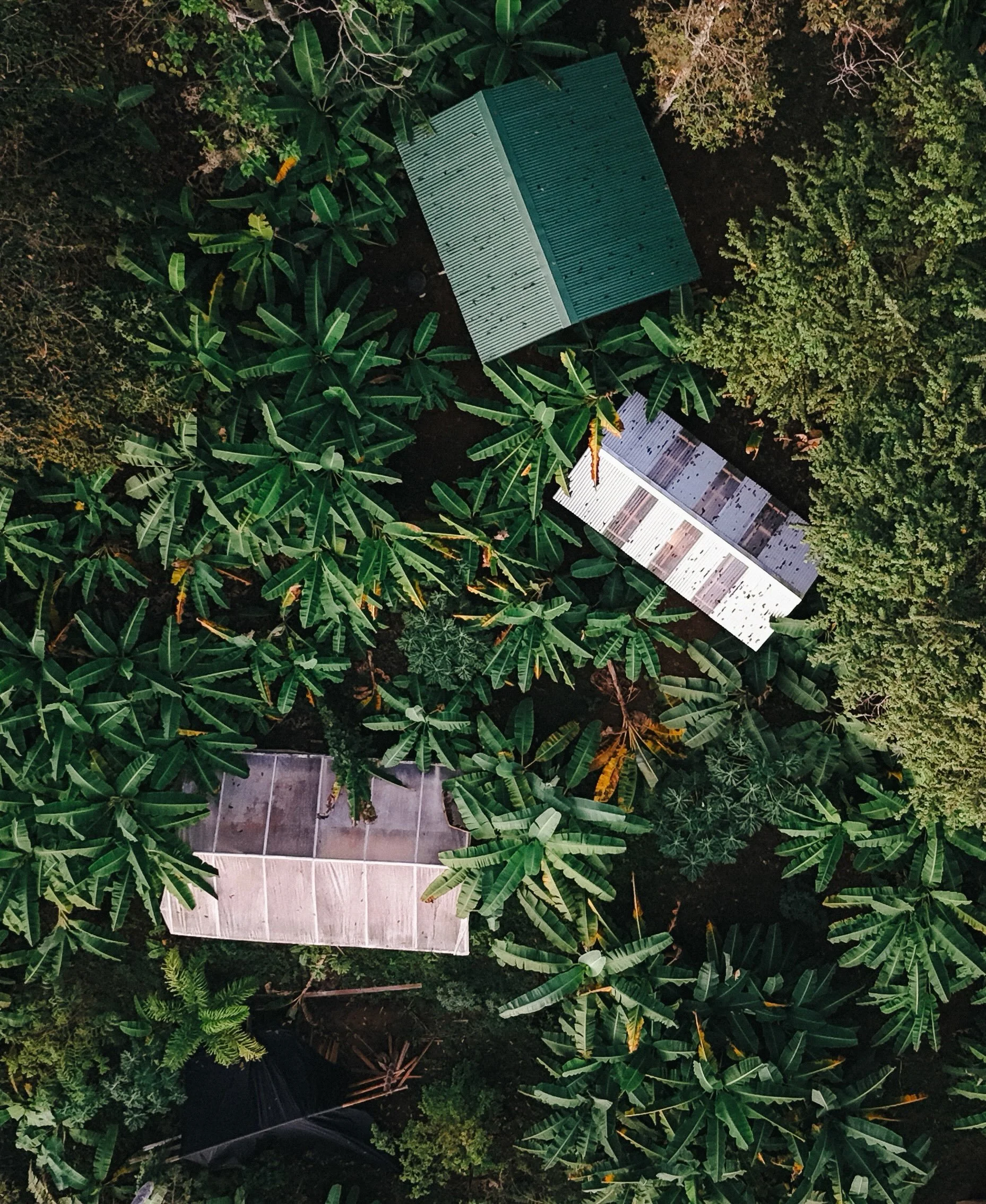 Hidden in the jungle-covered hills of the Osa Peninsula, just 12 kilometres from Puerto Jim&eacute;nez, Balsa Nueva Lodge looks across the calm waters of the Golfo Dulce, one of only four tropical fjords in the world. This is one of Costa Rica&rsquo;