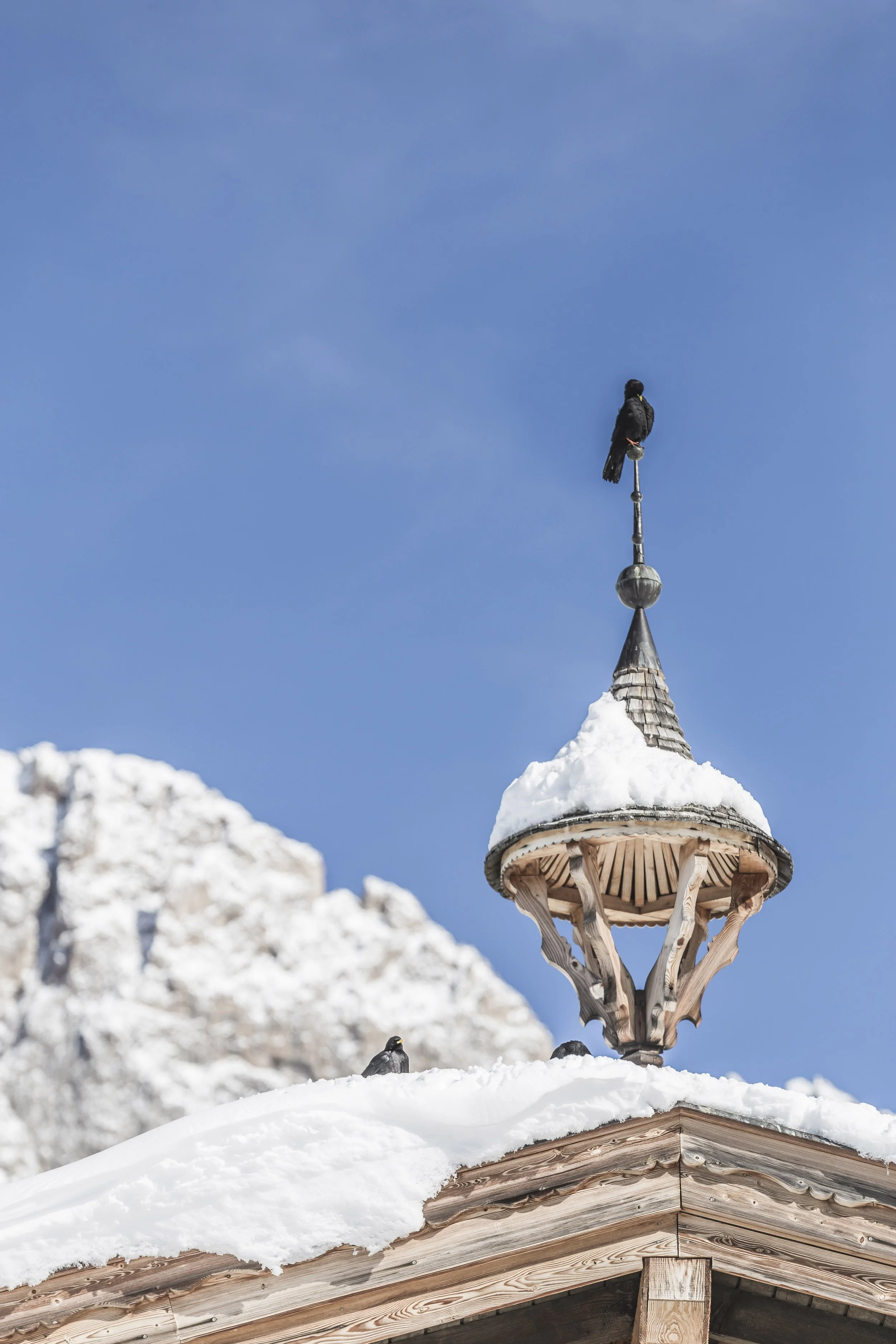 Italy Hotel | Ski Hotel | Val Gardena |  UNESCO | Eco travel | eco hotel | landscape hotel | nature hotel | nature destination | room and wild | Col Raiser Dolomites Hotel | Almhotel Col Raiser 