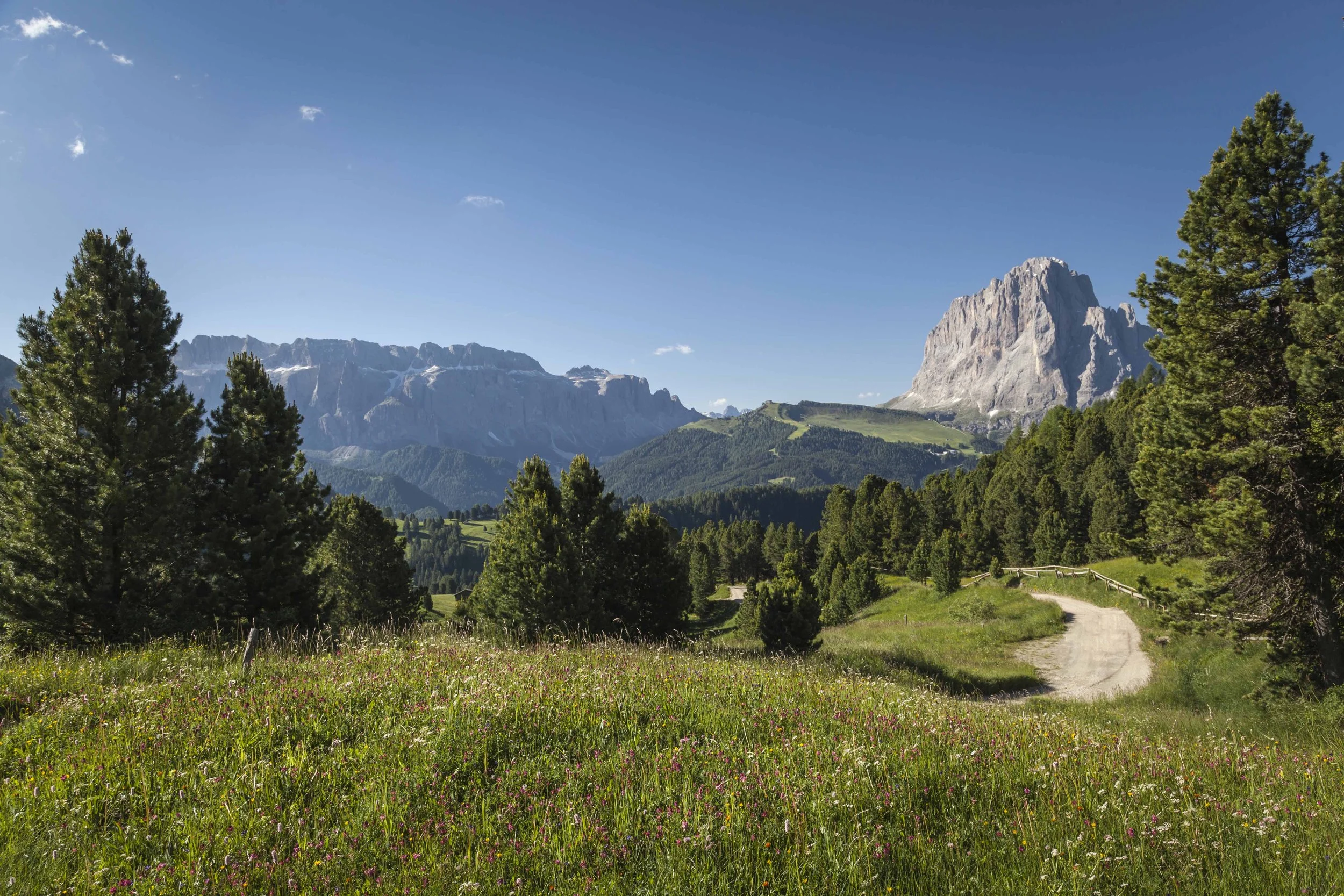 Italy Hotel | Ski Hotel | Val Gardena |  UNESCO | Eco travel | eco hotel | landscape hotel | nature hotel | nature destination | room and wild | Col Raiser Dolomites Hotel | Almhotel Col Raiser 