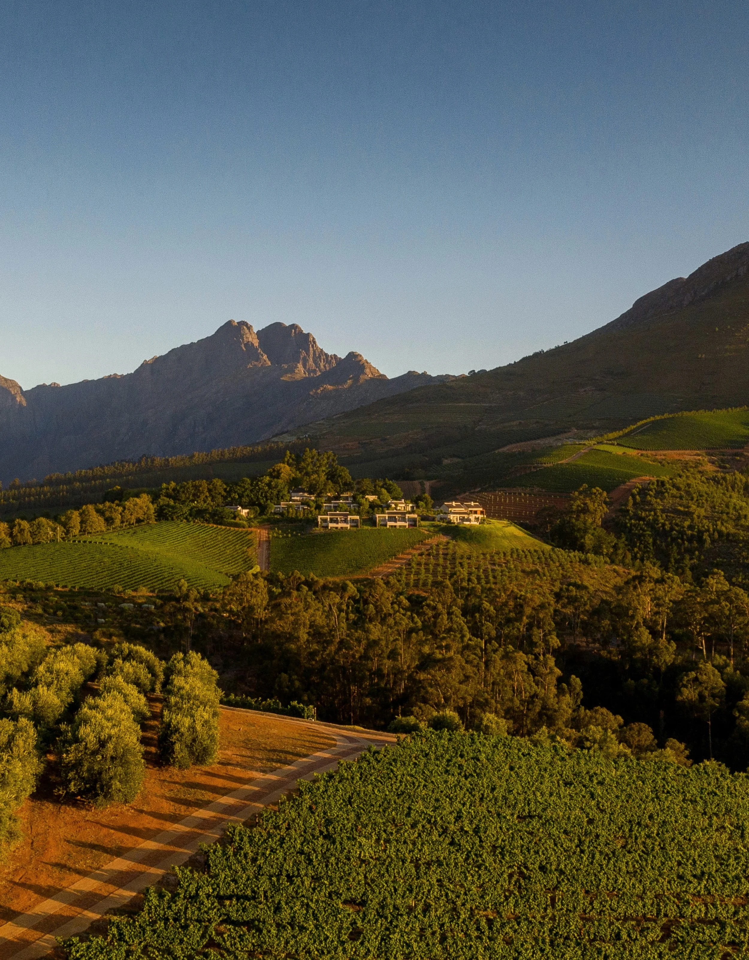 High along the dramatic Helshoogte Pass between Stellenbosch and Franschhoek, Delaire Graff Estate commands sweeping views across lush valleys toward the rugged peaks of the Simonsberg Mountains. 

The sanctuary seamlessly marries Cape Dutch architec