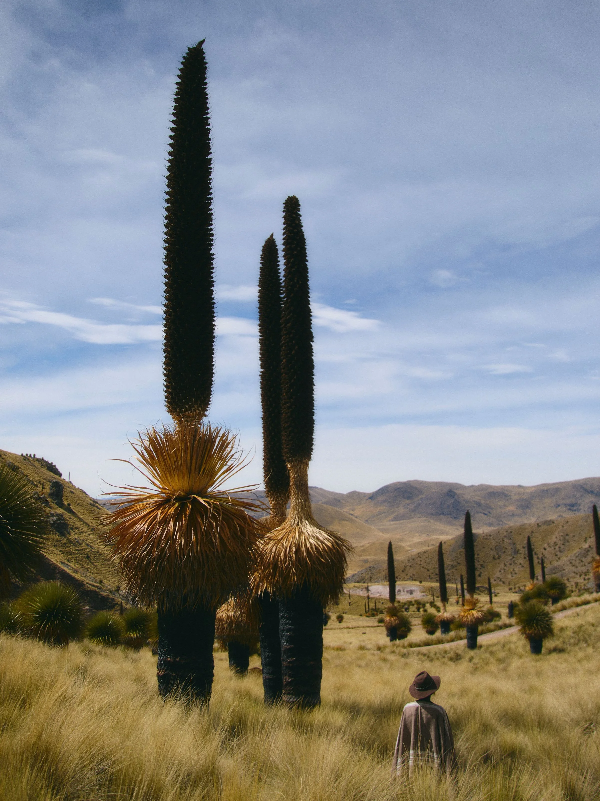 Tinajani rests in a remote private reserve deep within Peru&rsquo;s high Altiplano. The retreat centers around a restored 1890s adobe farmhouse, surrounded by six low-impact canvas tented suites raised on stilts to protect the delicate ground. Outfit