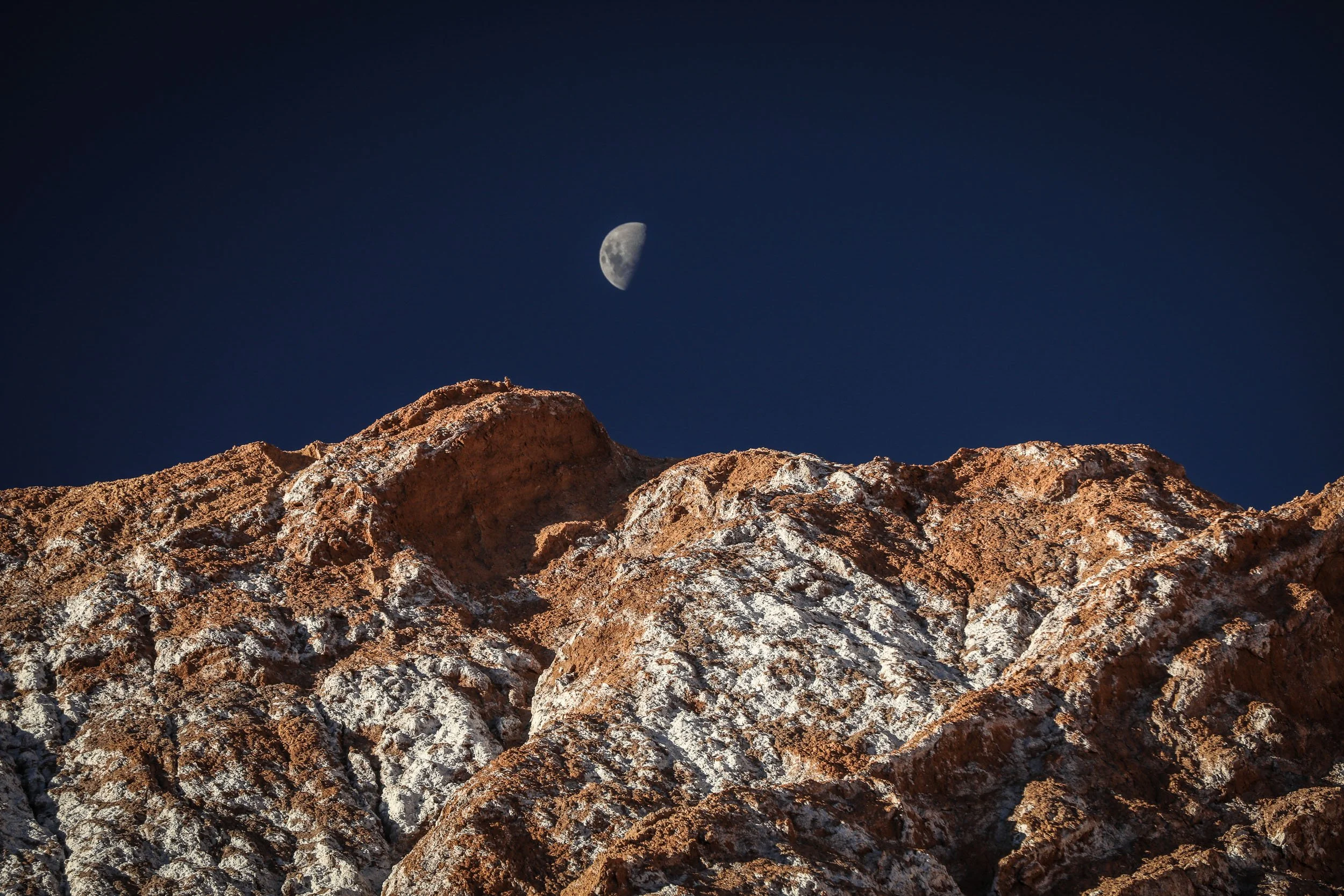 The Wild Lens: Documenting Ecosystems