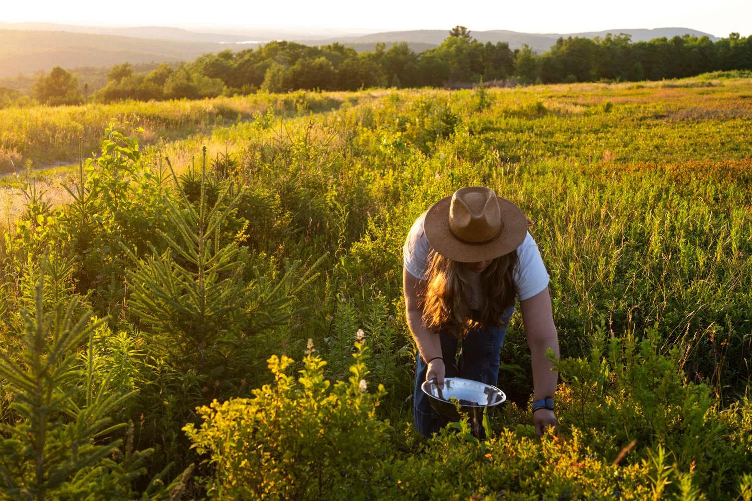 Glamping | Cabins | Maine Hotels | Orland | Eco travel | eco hotel | Slow travel | landscape hotel | nature hotel | nature destination | room and wild | Penobscot Bay | Acadia Park | Lantern Camp