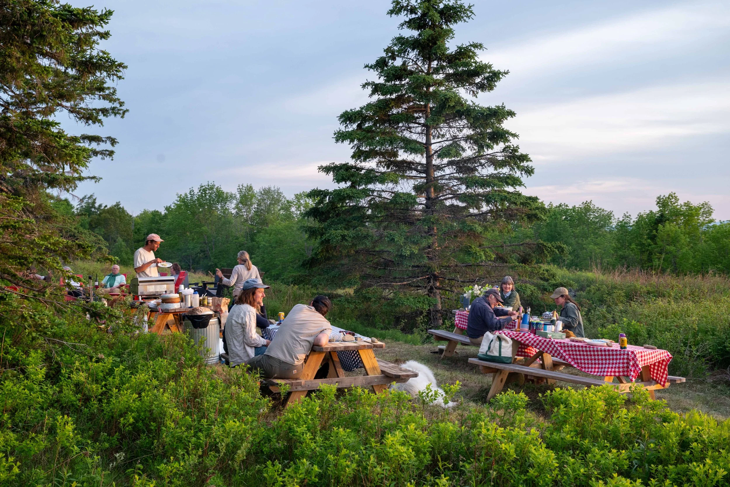 Glamping | Cabins | Maine Hotels | Orland | Eco travel | eco hotel | Slow travel | landscape hotel | nature hotel | nature destination | room and wild | Penobscot Bay | Acadia Park | Lantern Camp