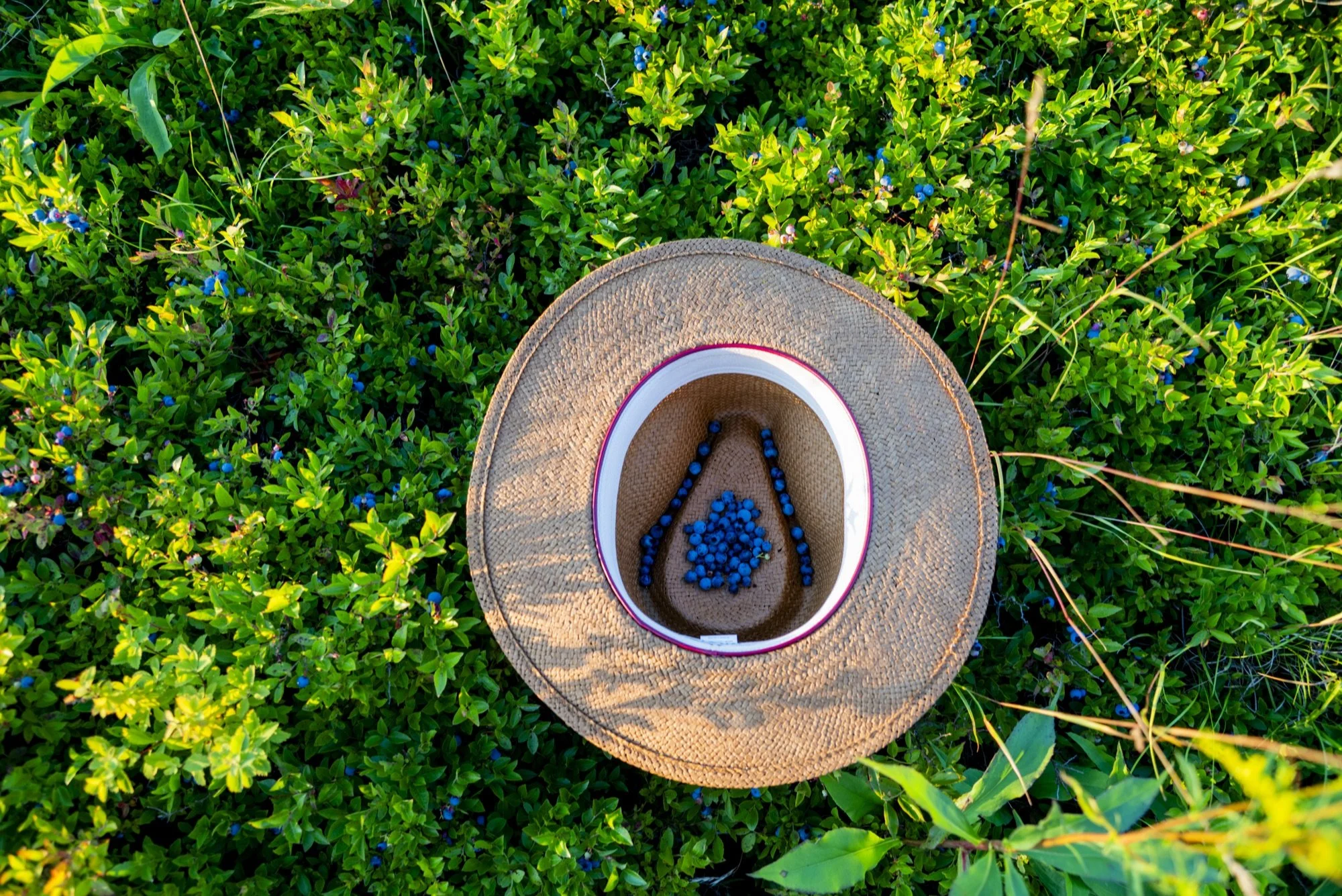 Glamping | Cabins | Maine Hotels | Orland | Eco travel | eco hotel | Slow travel | landscape hotel | nature hotel | nature destination | room and wild | Penobscot Bay | Acadia Park | Lantern Camp