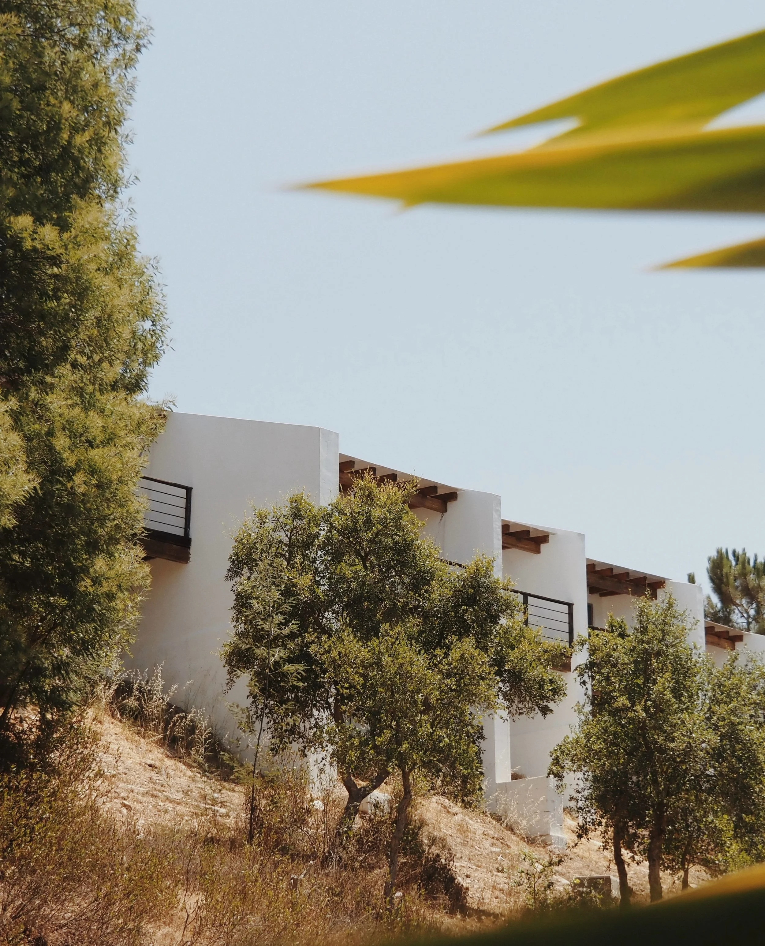 Autumn across rural Europe brings a gentle, grounding rhythm, offering a peaceful sanctuary where slow living, purposeful movement, and mindful presence take center stage. As crisp golden light filters through cork oak forests and ancient olive grove