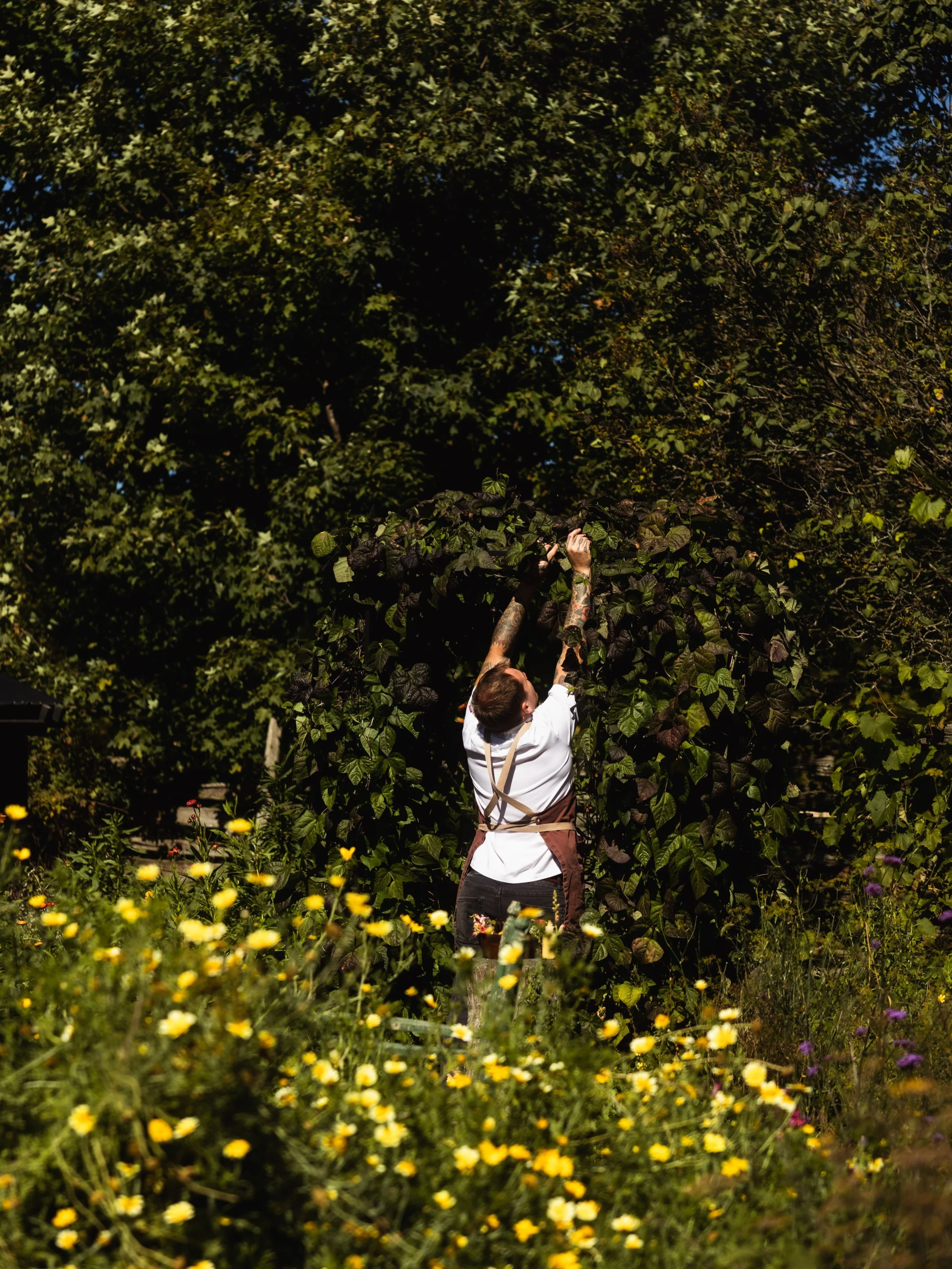 There is an unmistakable, primal alchemy that occurs when food is harvested directly from the surrounding landscape and prepared in rhythm with nature. Joining forces with The Botanist Gin at Down Home Farmhouse Restaurant in Grey County, Ontario, of
