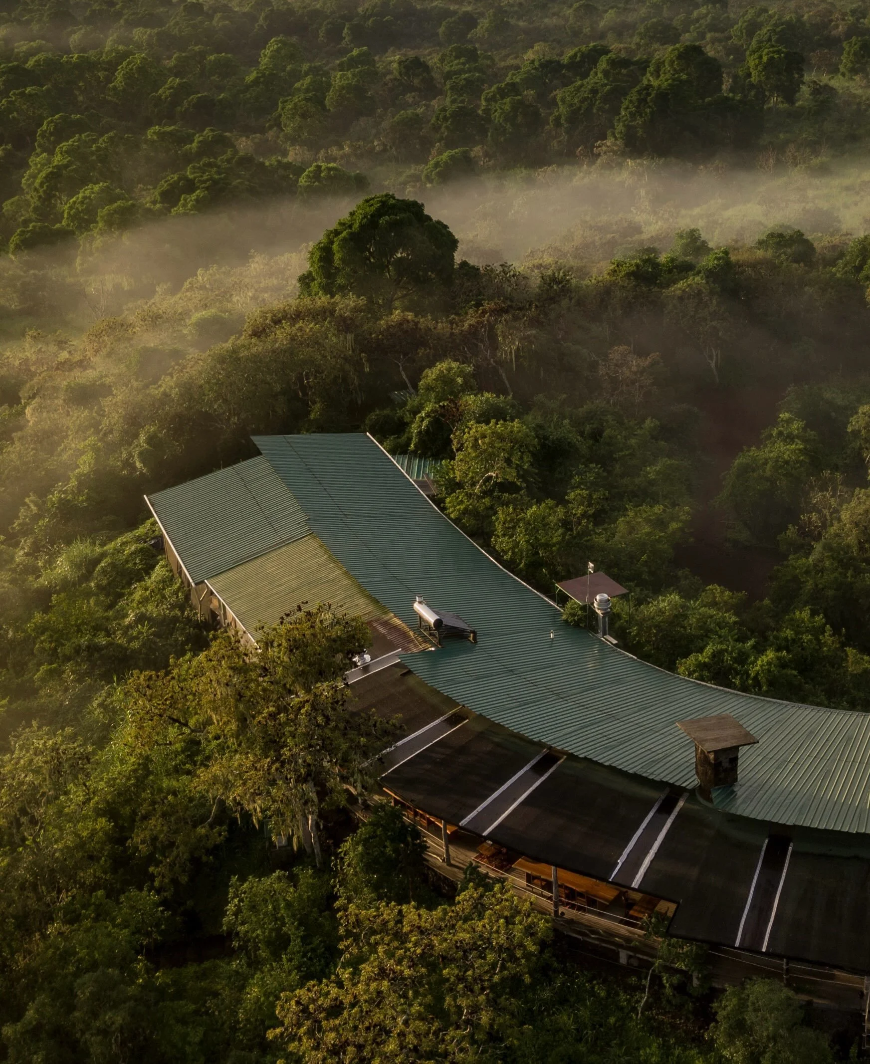Set in the humid, rolling highlands of Santa Cruz Island, Galapagos Safari Camp borders the Galapagos National Park, offering a sanctuary where wild nature surrounds everyday living. 

Founded by Michael Mesdag and Stephanie Bonham-Carter, who were i