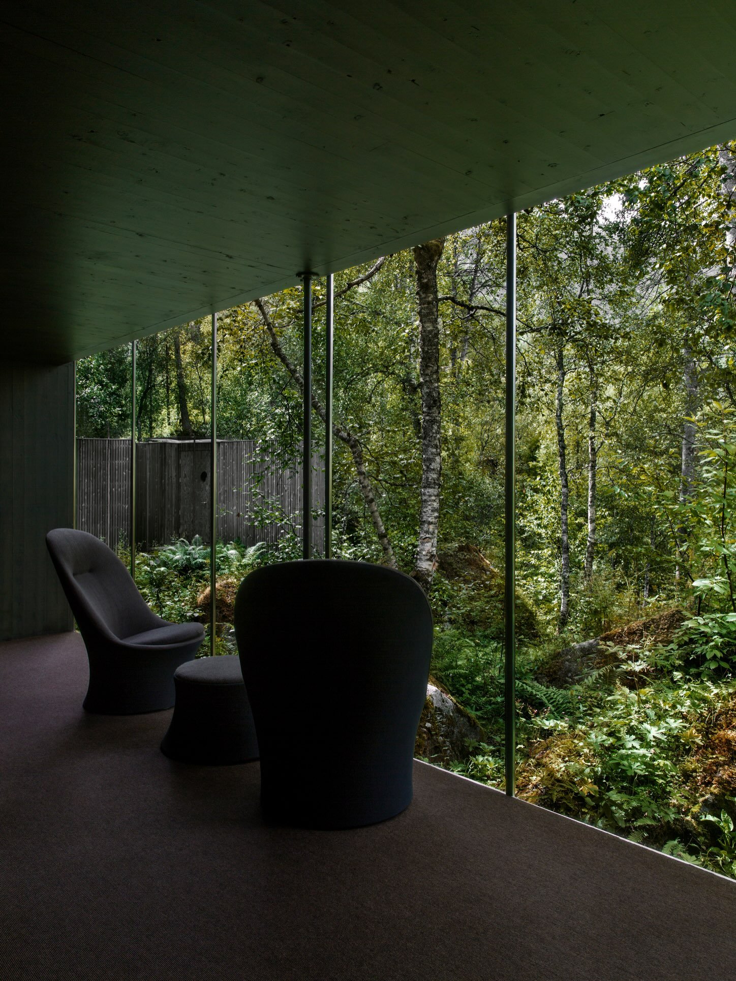 Immersion in the dense birch and aspen forests of Valldal in northwestern Norway offers an immediate path to physiological recovery through forest bathing. Scientific research on forest therapy, known as shinrin-yoku, demonstrates that spending time 