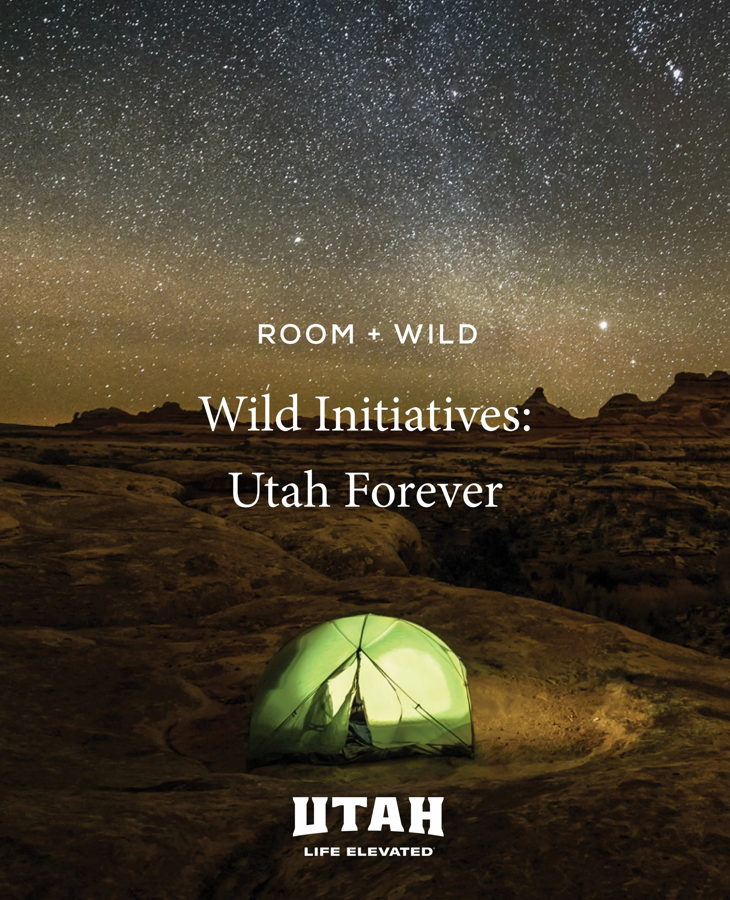 Wild Initiatives are the living foundations behind Room + Wild&rsquo;s partners, representing environmental commitments that extend far beyond hospitality through reforestation, wildlife conservation, and cultural preservation.

Embodying this missio