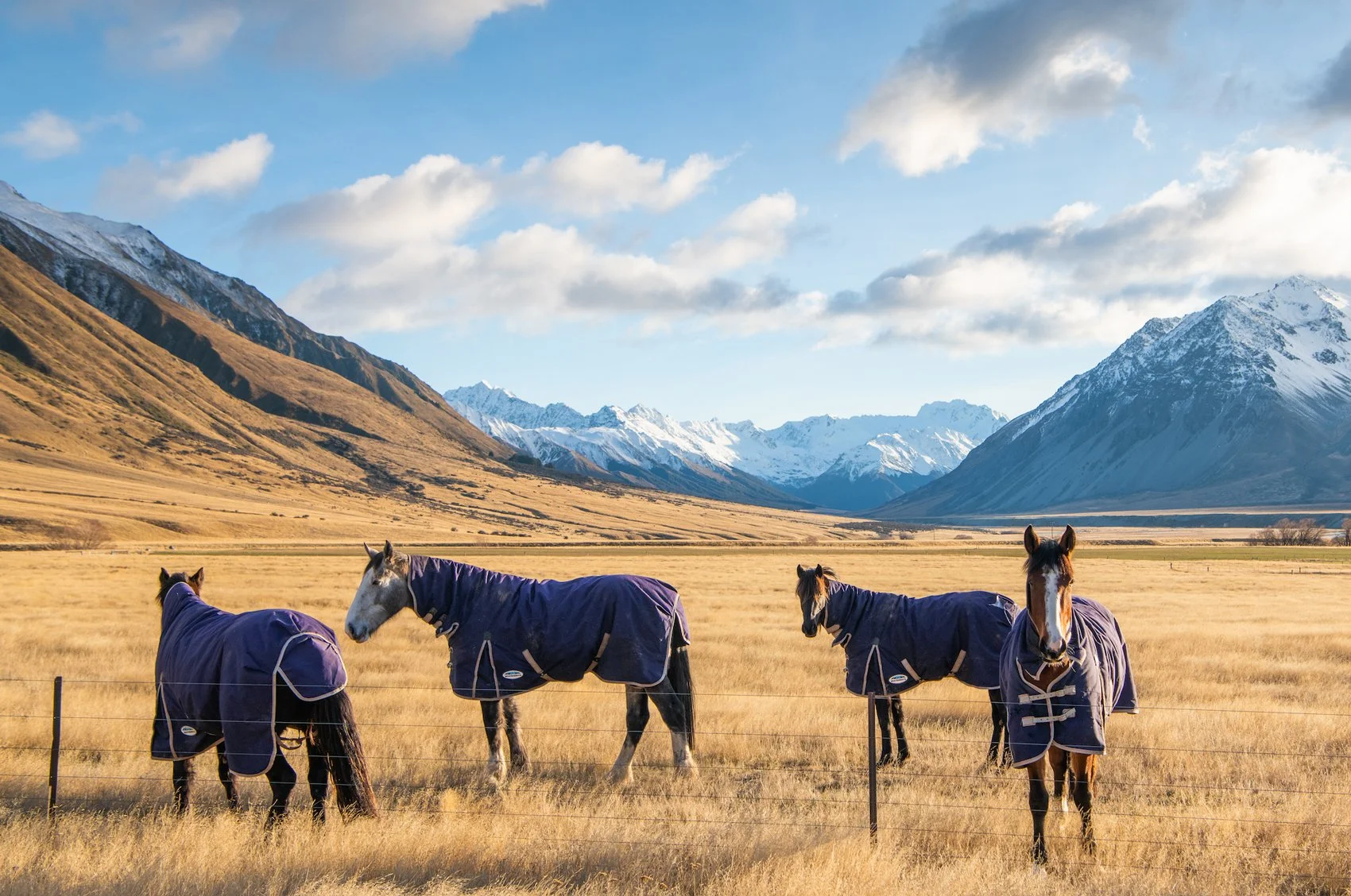 Adventure Travel | Horseback riding | equestrian travel | Slow travel | Eco travel | eco hotel  | landscape hotel | nature hotel | nature destination | room and wild | New Zealand luxury Hotel | Ahuriri Valley  |The Lindis