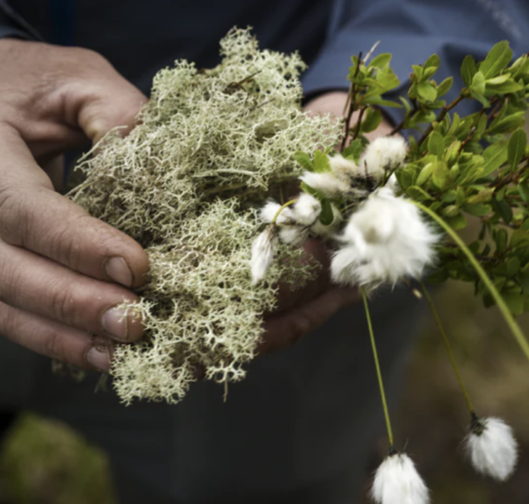 experiential travel | travel guide | travel inspiration | slow travel | adventure travel | nature travel | unique travel experiences | eco travel | sustainable travel | eco lodges | landscape hotels | room and wild | The botanist gin | Scotland