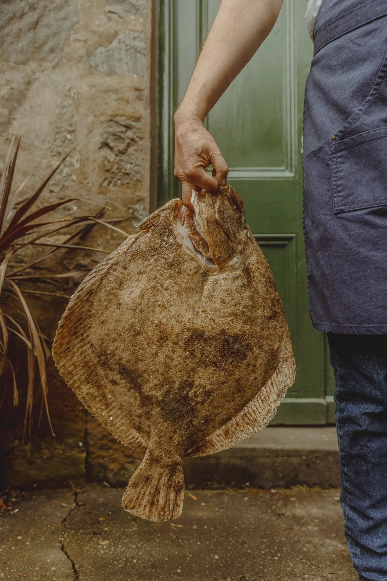 Experiential travel | kitchen in the wild | food travel | dinner experience | culinary retreats | outdoor dining | slow travel | Eco travel | eco hotel  | landscape hotel | nature hotel | nature destination | room and wild