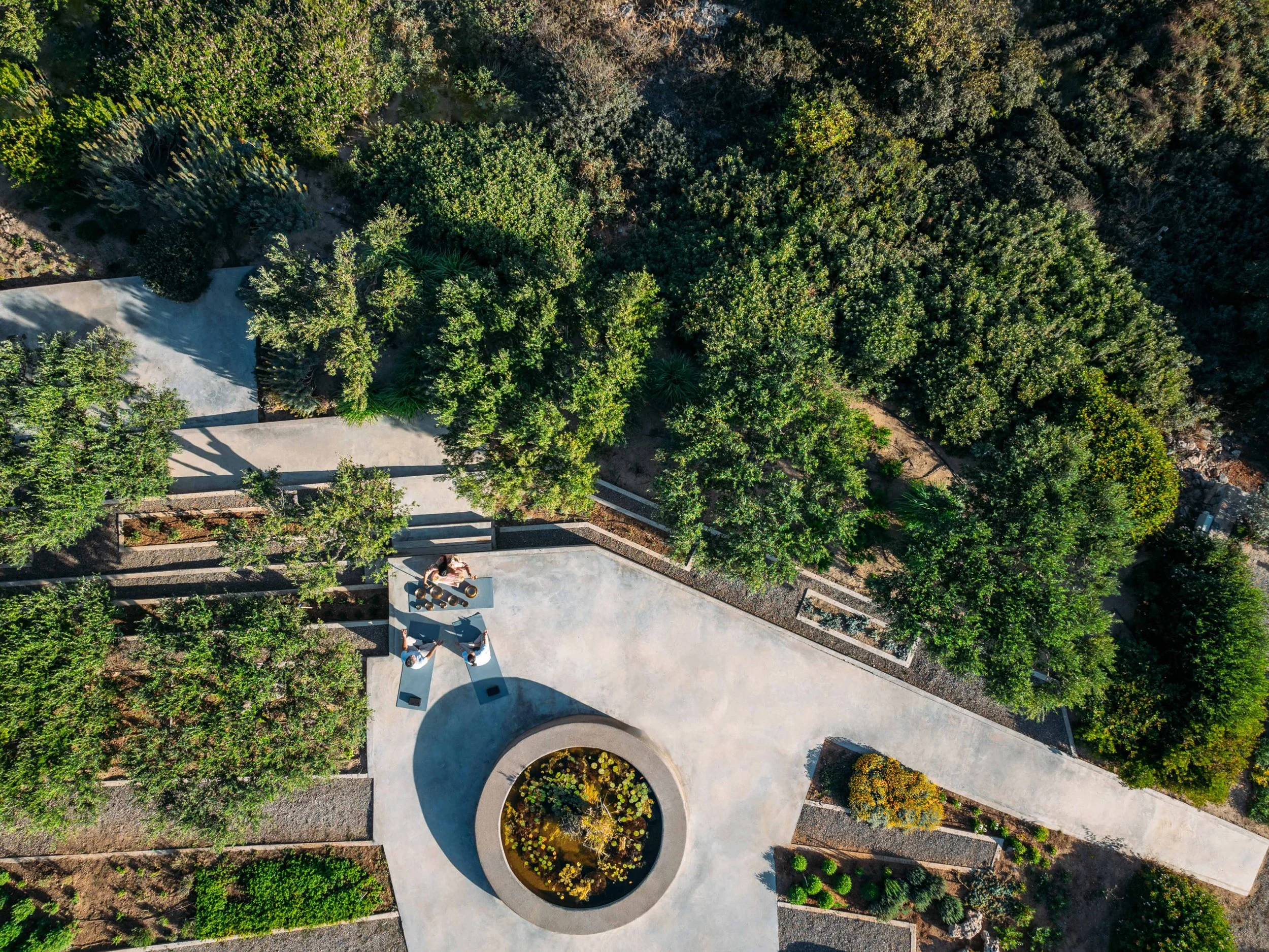 Wellness Travel | Active Travellers | Movement | wellness hotel | Yoga Hotel | Eco travel | eco hotel | landscape hotel | nature hotel | nature destination | room and wild | crete boutique Hotel | greece hotel | Minos Palace Resort