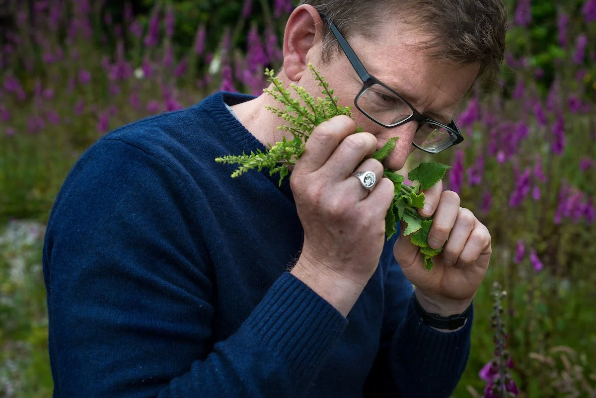 Sustainable Brand | Nature Destination | Experiential travel | Travel Guide | Gin Tasting | Foraging | Sustainable Business |  Islay Scotland | Travel Scotland | Botanist Gin | Bruichladdich Distillery | Room and Wild | Kate Hannett