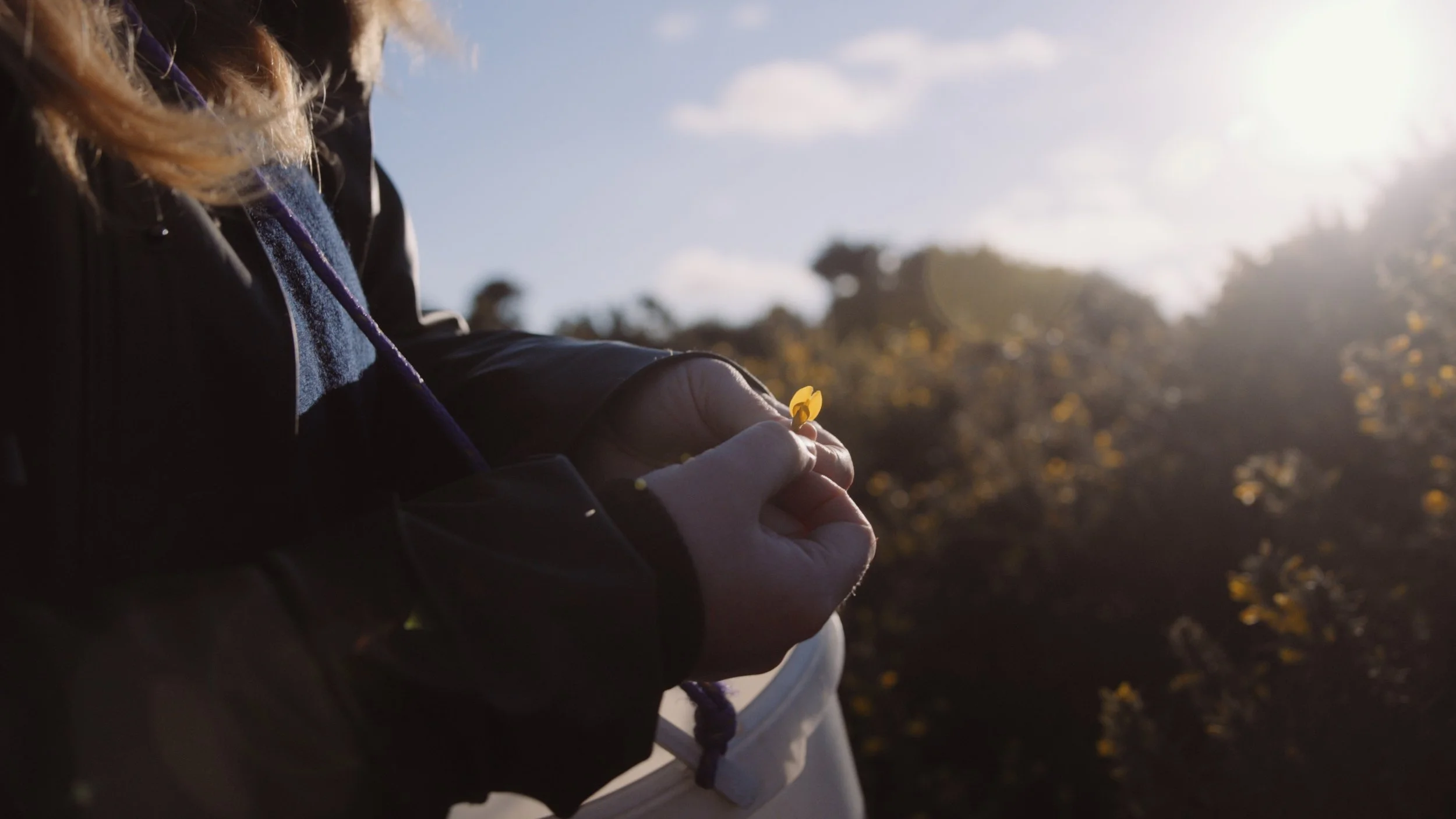 Sustainable Brand | Nature Destination | Experiential travel | Travel Guide | Gin Tasting | Foraging | Sustainable Business |  Islay Scotland | Travel Scotland | Botanist Gin | Bruichladdich Distillery | Room and Wild | Kate Hannett