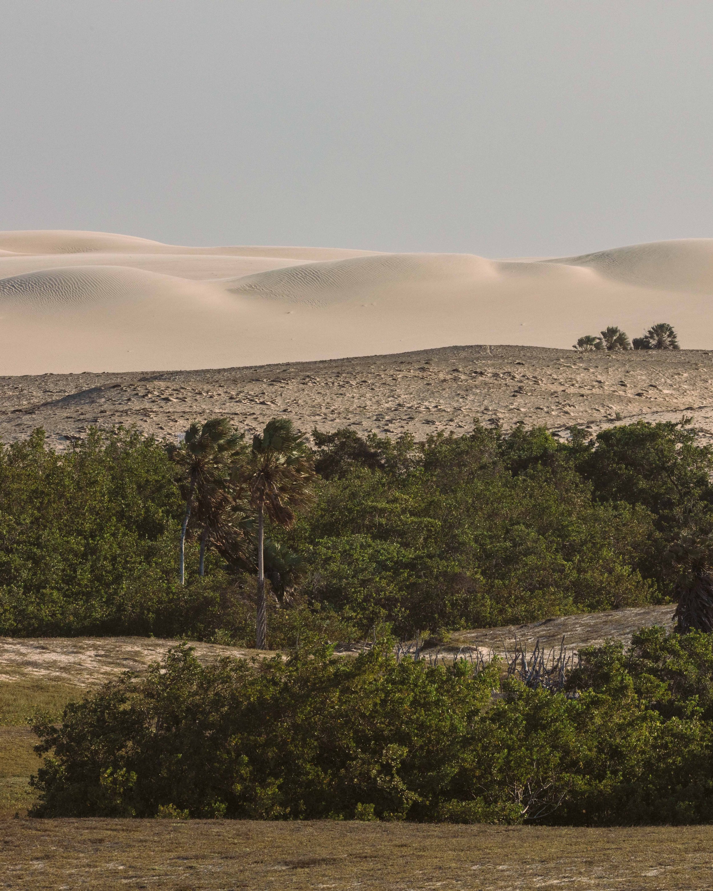 Experiential travel | Adventure hotel | adventure travel  | Eco travel | eco hotel | landscape hotel | nature hotel | nature destination | room and wild | Kitesurfing | Brazil luxury hotel | Fazenda Moreias