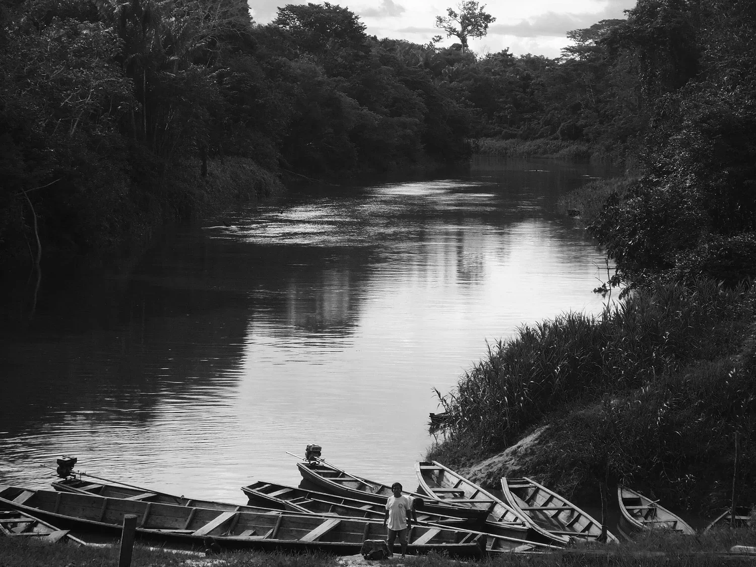 luxury hotel colombia | immersive experiences | creative travel | Eco travel | eco hotel | landscape hotel | nature hotel | nature destination | room and wild | The Amazon | Calanoa Jungle Lodge