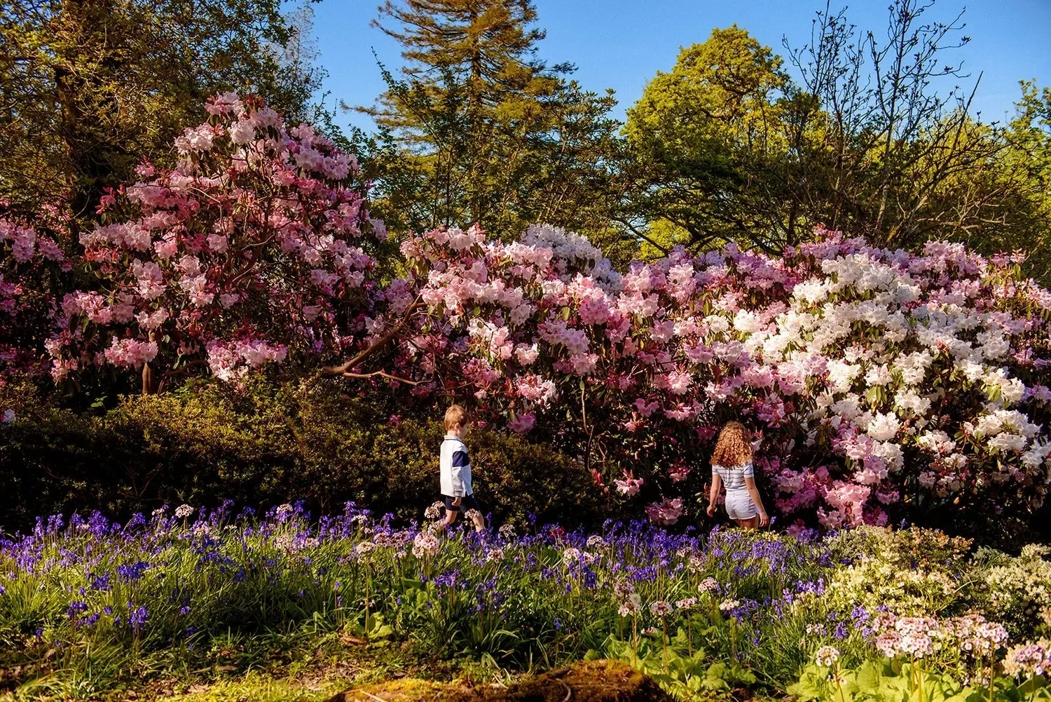 Sustainable Hotels | County Waterford hotel| Eco travel | eco hotel | Slow travel | landscape hotel | nature hotel | nature destination | room and wild | Ireland boutique Hotel | Mount Congreve Gardens