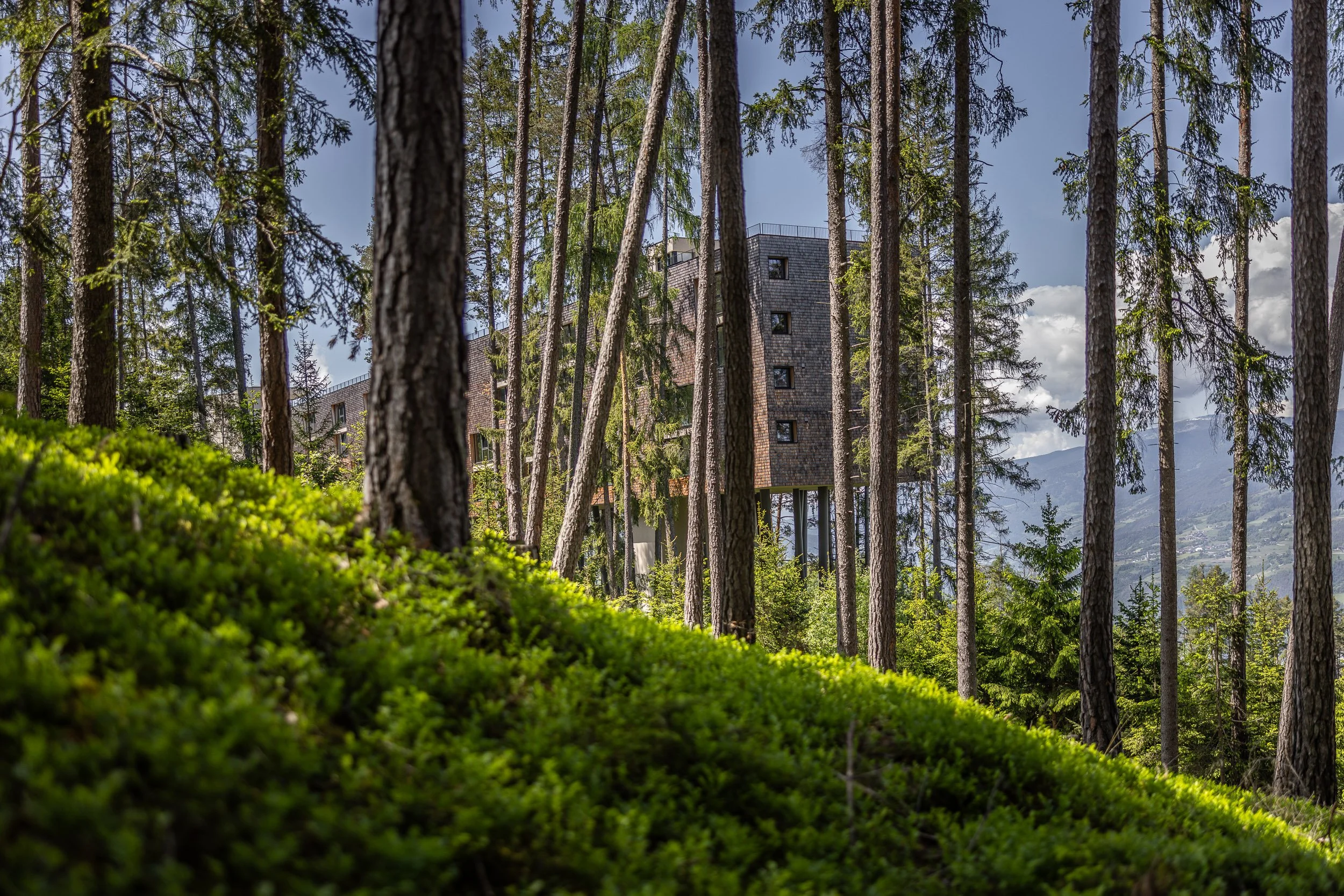 Treehouse Hotels  | Eco travel | eco hotel | Slow travel | landscape hotel | nature hotel | nature destination | room and wild | Italy boutique Hotel | The Dolomites | My Arbor