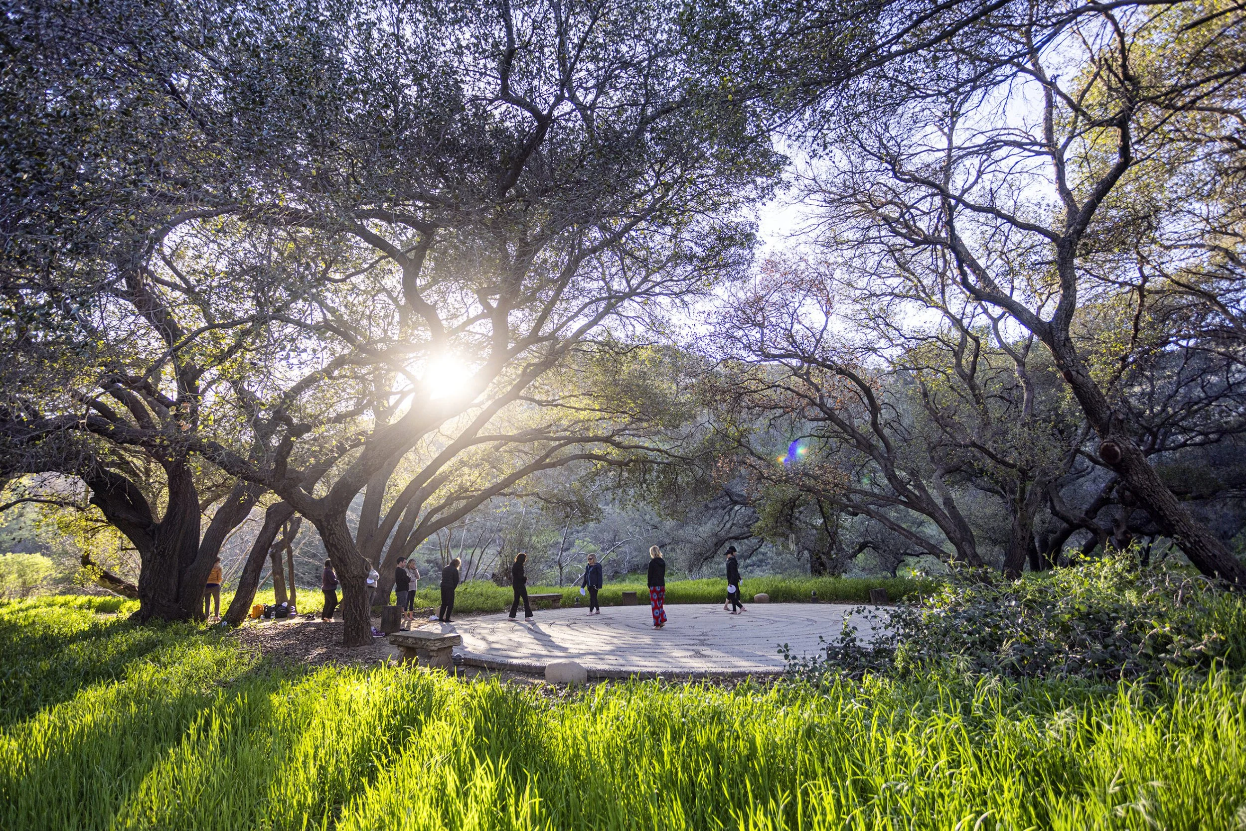 Wellness Travel | Active Travellers | Movement | wellness hotel | Yoga Hotel | Eco travel | eco hotel | landscape hotel | nature hotel | nature destination | room and wild | mexico boutique Hotel  | Rancho La Puerta