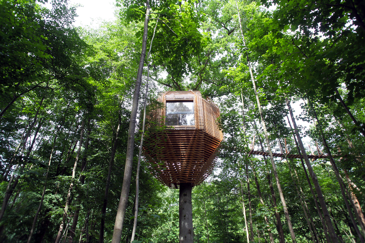 landscape architecture | Nature-inspired architecture | organic architecture | Eco travel | eco hotel | landscape hotel | nature hotel | nature destination | room and wild | treehouse france  | Atelier LAVIT | ORIGIN treeshouse