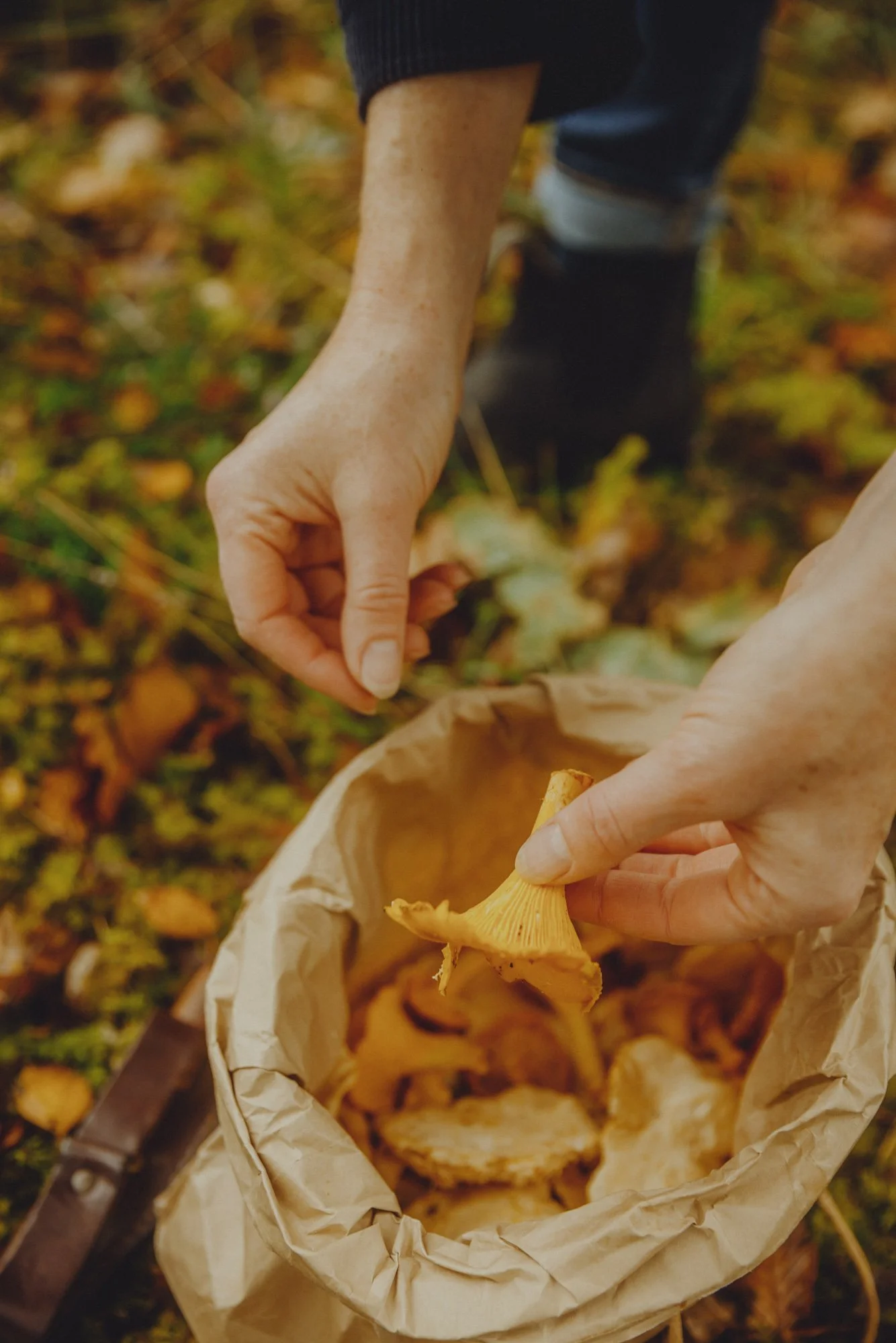 Experiential travel | kitchen in the wild | food travel | dinner experience | culinary retreats | outdoor dining | slow travel | Eco travel | eco hotel  | landscape hotel | nature hotel | nature destination | room and wild