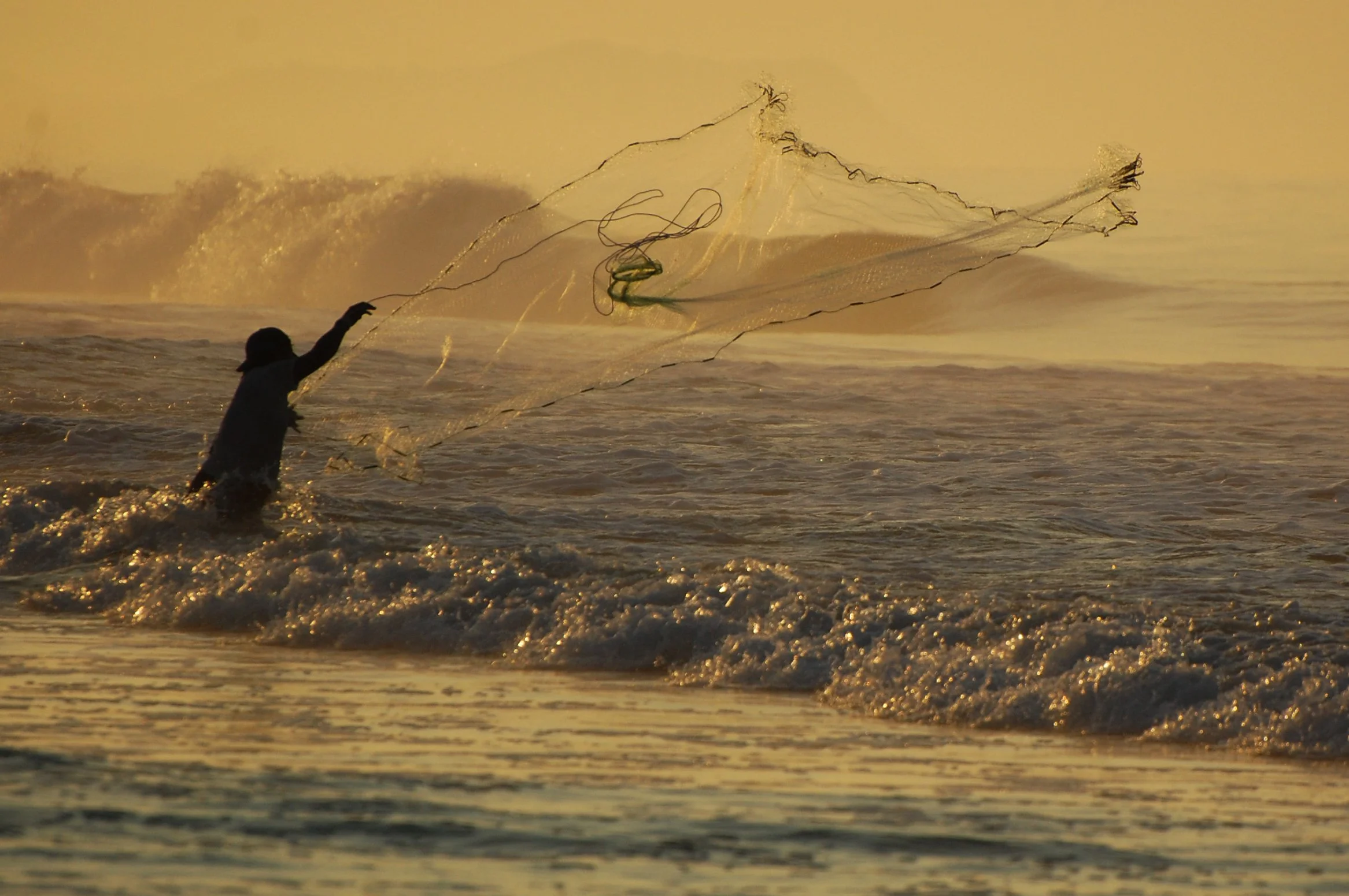 Eco travel | Eco Lodges | Nature Destinations | eco hotel | luxury hotel mexico | regenerative travel | landscape hotel | nature hotel | room and wild | David leventhal | mexico hotel | Playa viva