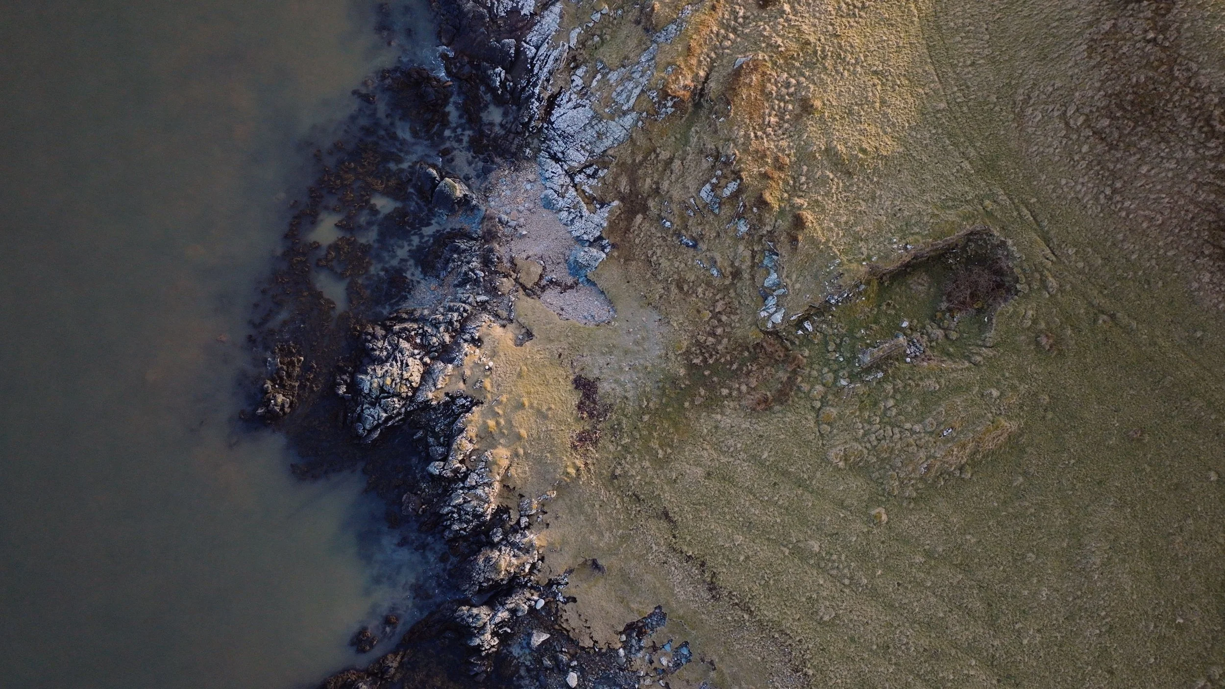 Sustainable Brand | Nature Destination | Experiential travel | Travel Guide | Gin Tasting | Foraging | Sustainable Business |  Islay Scotland | Travel Scotland | Botanist Gin | Bruichladdich Distillery | Room and Wild | Kate Hannett