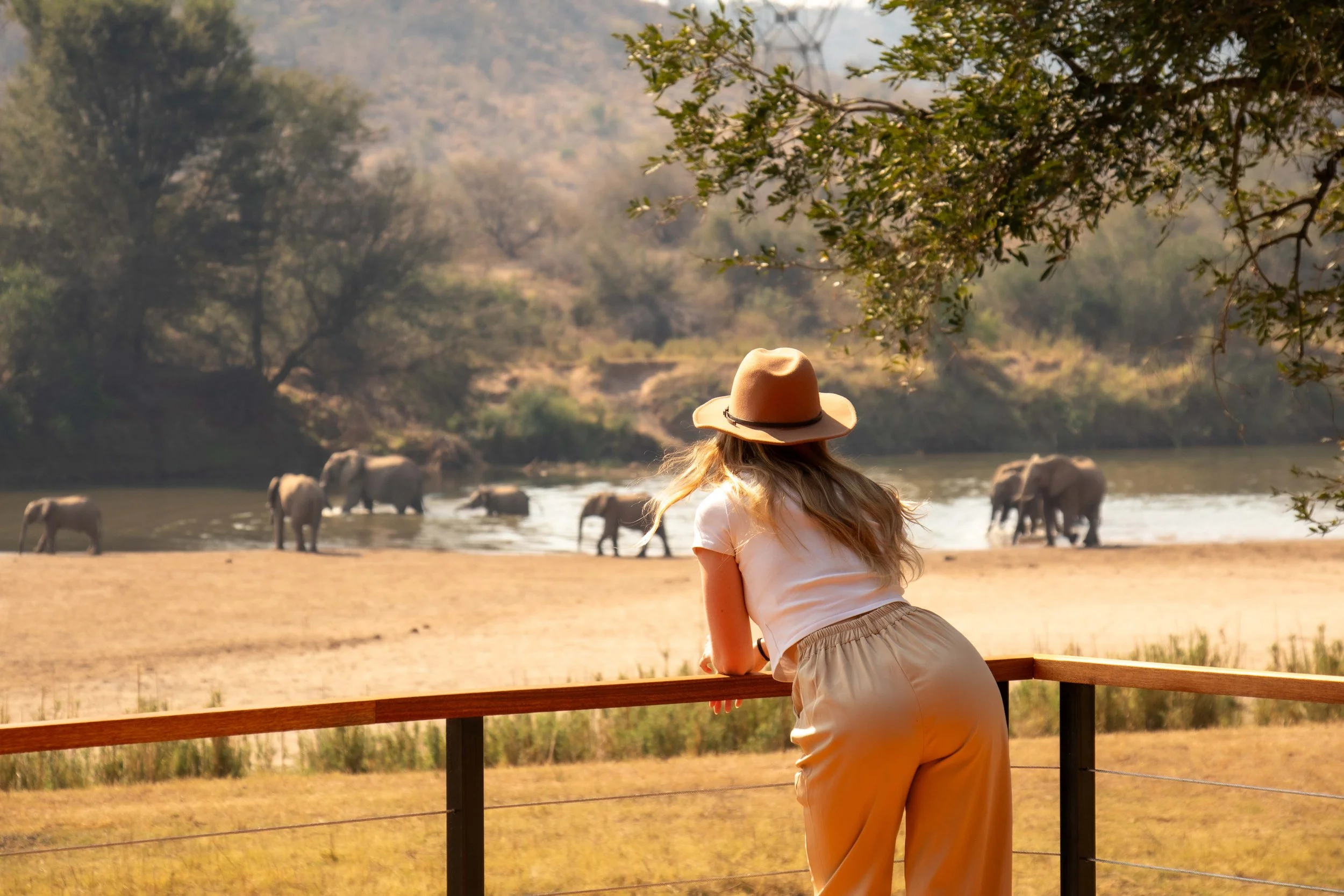 South Africa Hotel | Wellness Hotel | Landscape Hotel | Nature Hotel | Safari Hotel | Kruger National Park | Peter Eastwood | Conservation | Koru Camp | Sashwa River of Stars