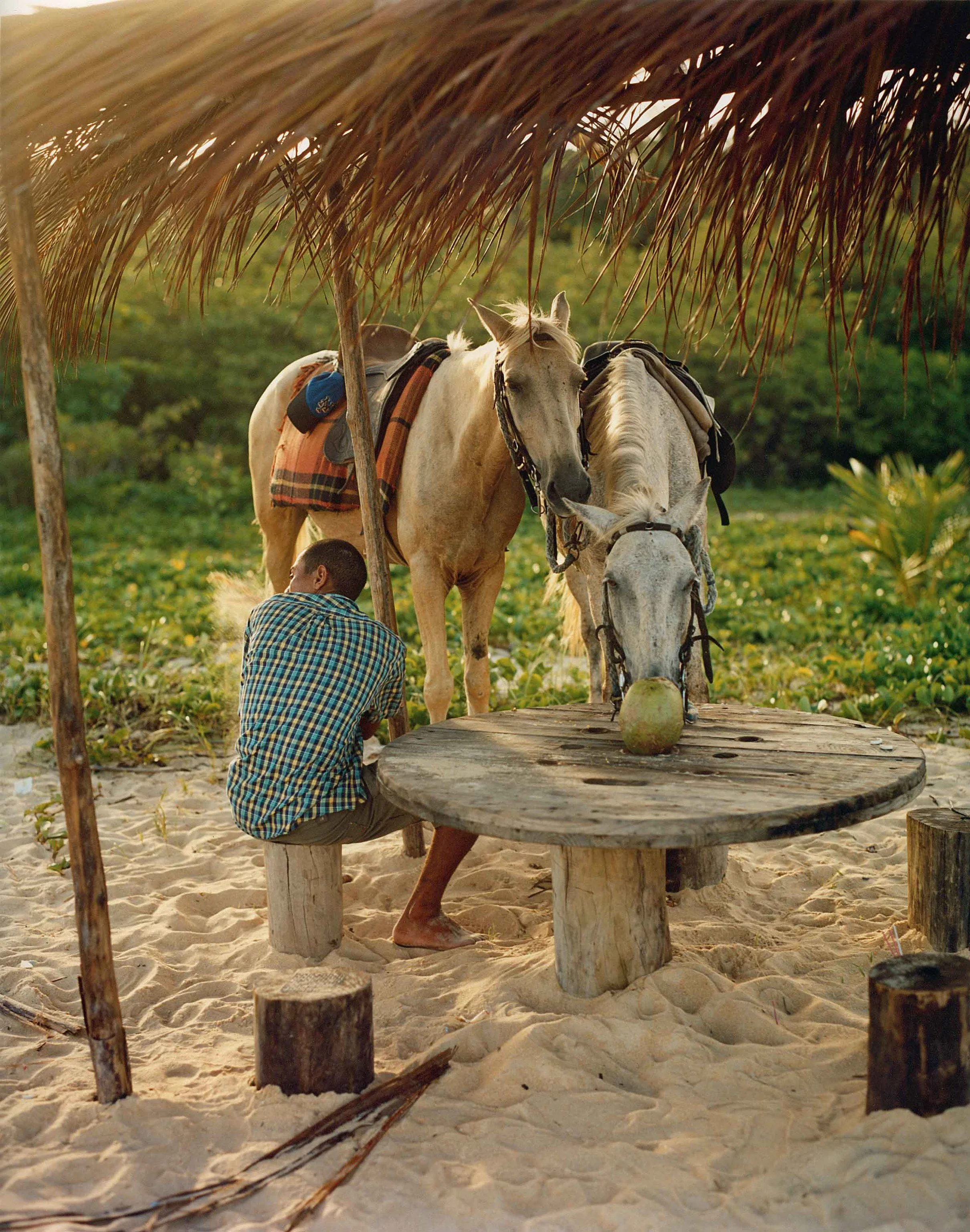 Eco travel | eco hotel | adventure hotel | landscape hotel | nature hotel | nature destination | room and wild | Brazil luxury hotel | Trancoso Hotel |  UXUA Casa Hotel and Spa