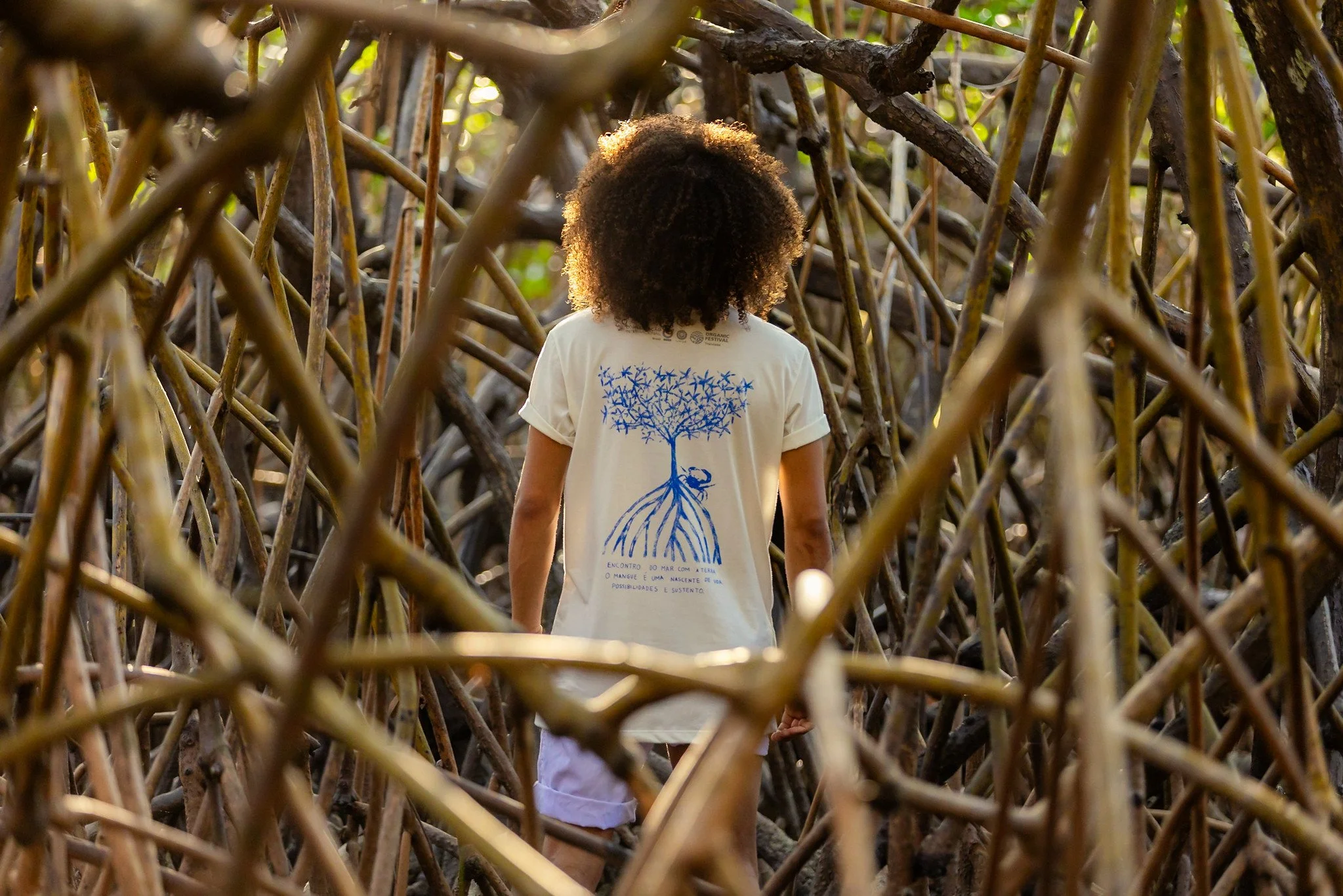 Sustainable Hotels | Brazil Hotels | Eco travel | eco hotel | Slow travel | landscape hotel | nature hotel | nature destination | room and wild | Brazil boutique Hotel | Uxua Casa