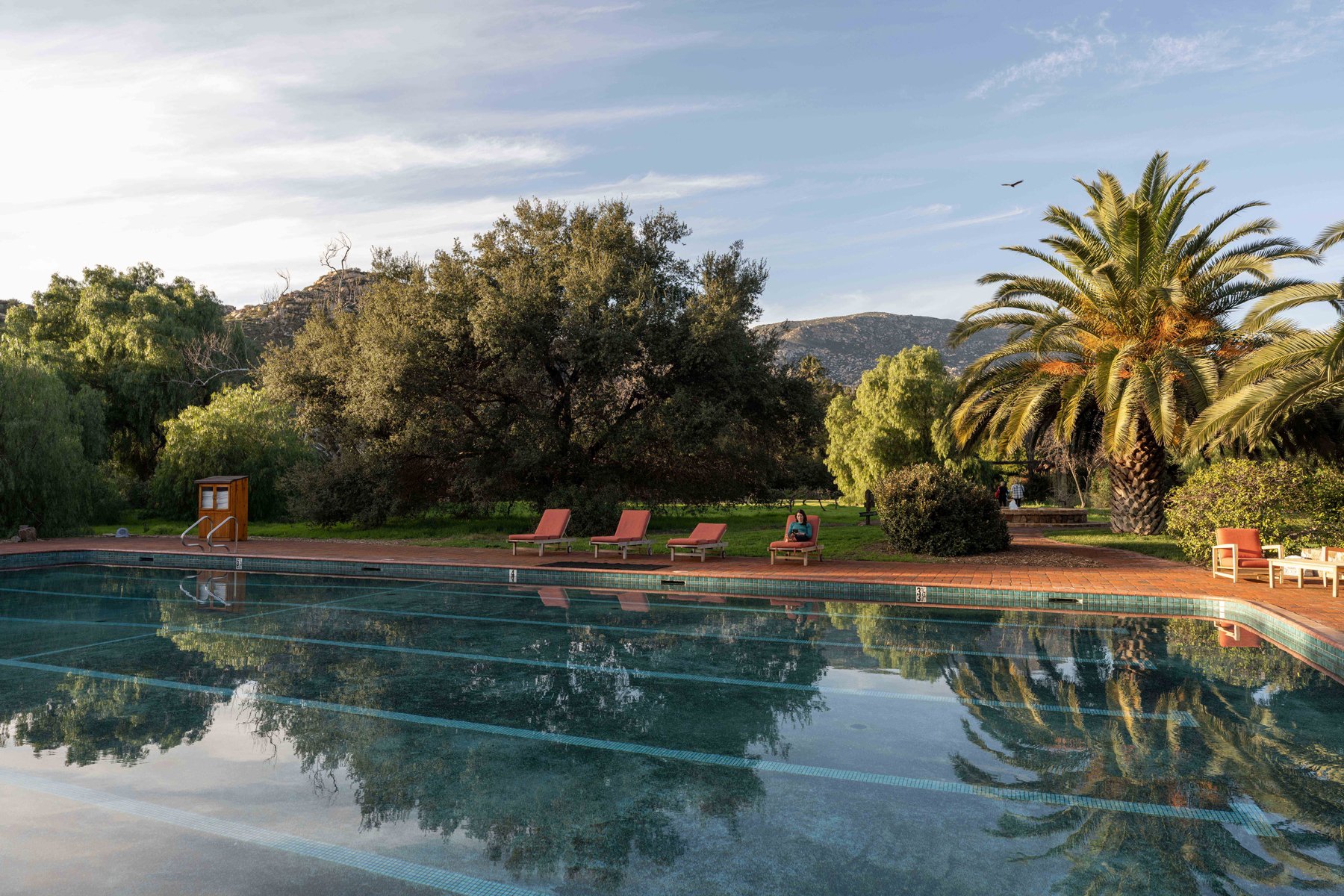 Mexico Hotel | Wellness Hotel | Eco travel | eco hotel | adventure hotel | landscape hotel | nature hotel | nature destination | room and wild | cacao | experiential travel | Rancho La Puerta