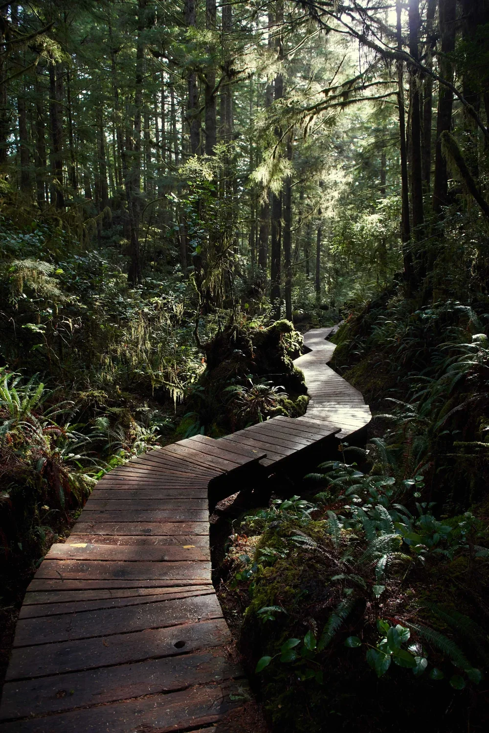 Canada Hotels | Tofino Hotels | nature destination | Landscape Hotels | Nature Hotels | Room and Wild | Charles Mcdiarmid | The Wickaninnish Inn