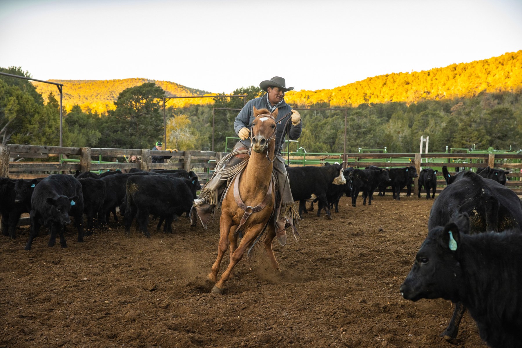 Utah travel guide | Utah Forever | Places to visit in utah | Glamping | Stargazing | Utah Hotels | Eco travel | eco hotel | landscape hotel | nature hotel | nature destination | room and wild | Cattle Ranch Boulder