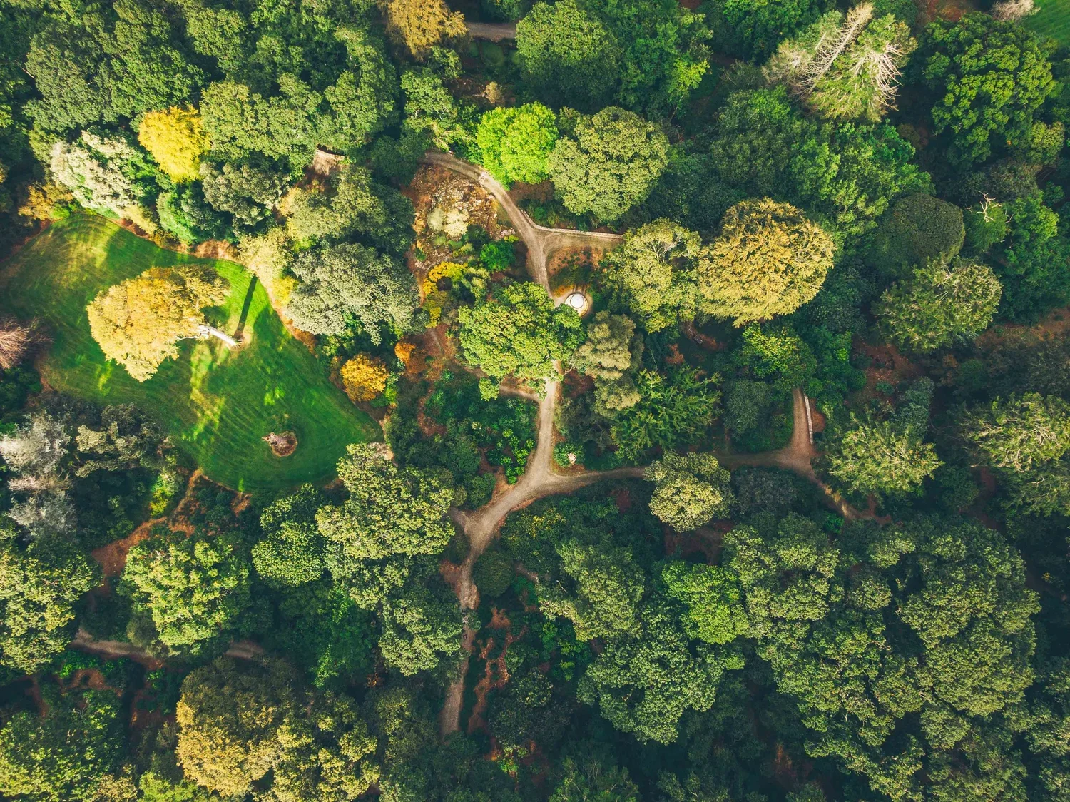 Mount Congreve Gardens | Garden Hotels | Ireland Hotels | Nature Hotels | Eco travel | eco luxury | nature destination | Landscape Hotels | Waterford hotels | Mount Congreve Gardens and Country Estate