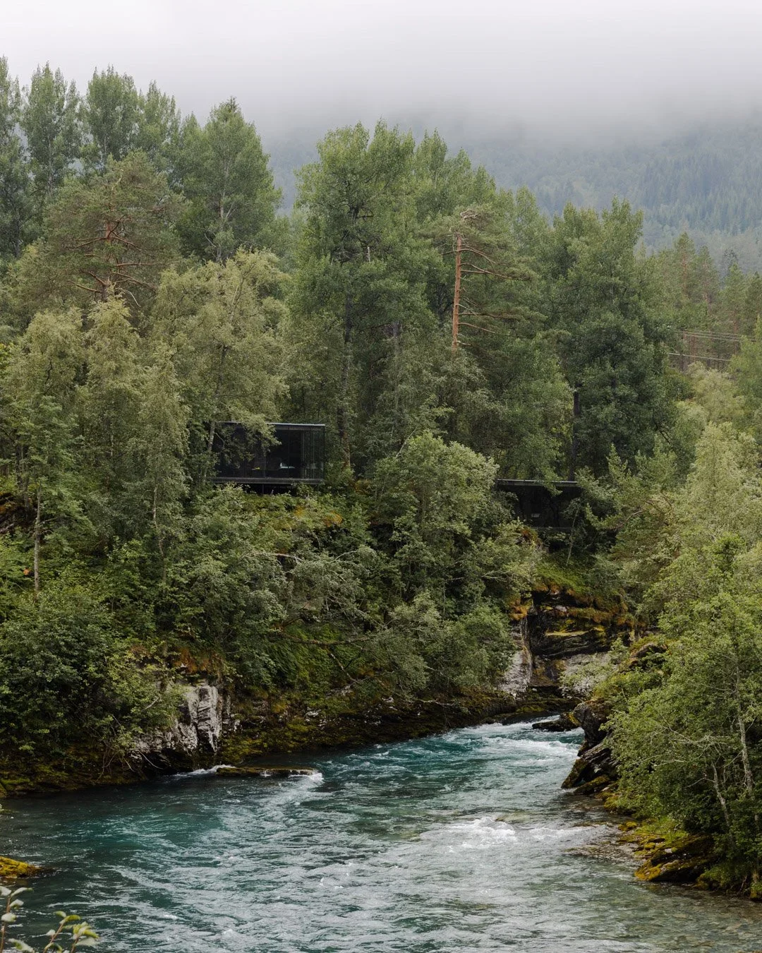 Treehouse Hotels | Norway Hotels | Eco travel | eco hotel | Slow travel | landscape hotel | nature hotel | nature destination | room and wild | norway boutique Hotel | Norway | Juvet Landscape hotel