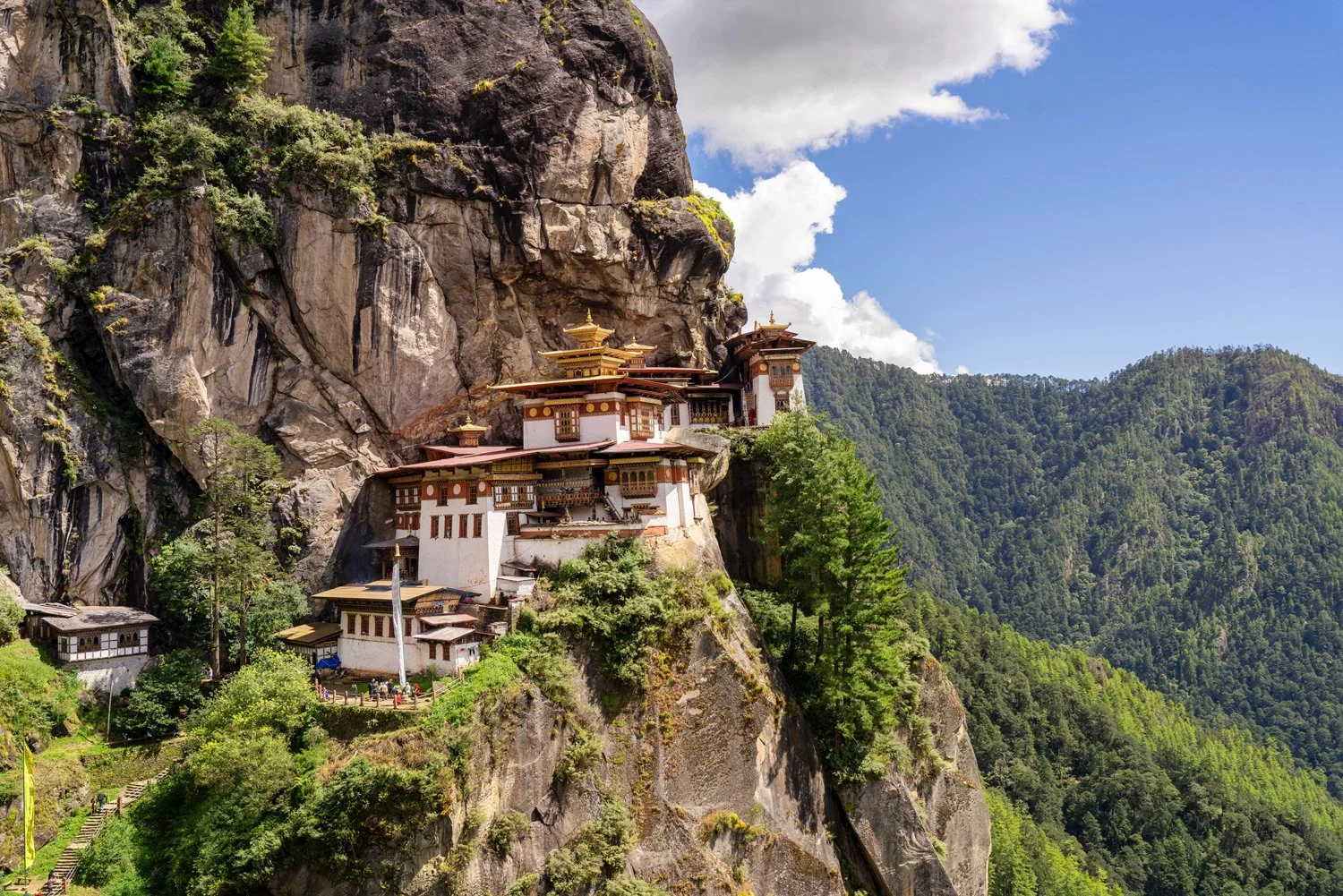experiential travel | travel guide | travel inspiration | slow travel | adventure travel | nature travel | unique travel experiences | eco travel | sustainable travel | eco lodges | landscape hotels | room and wild | The botanist gin | Bhutan
