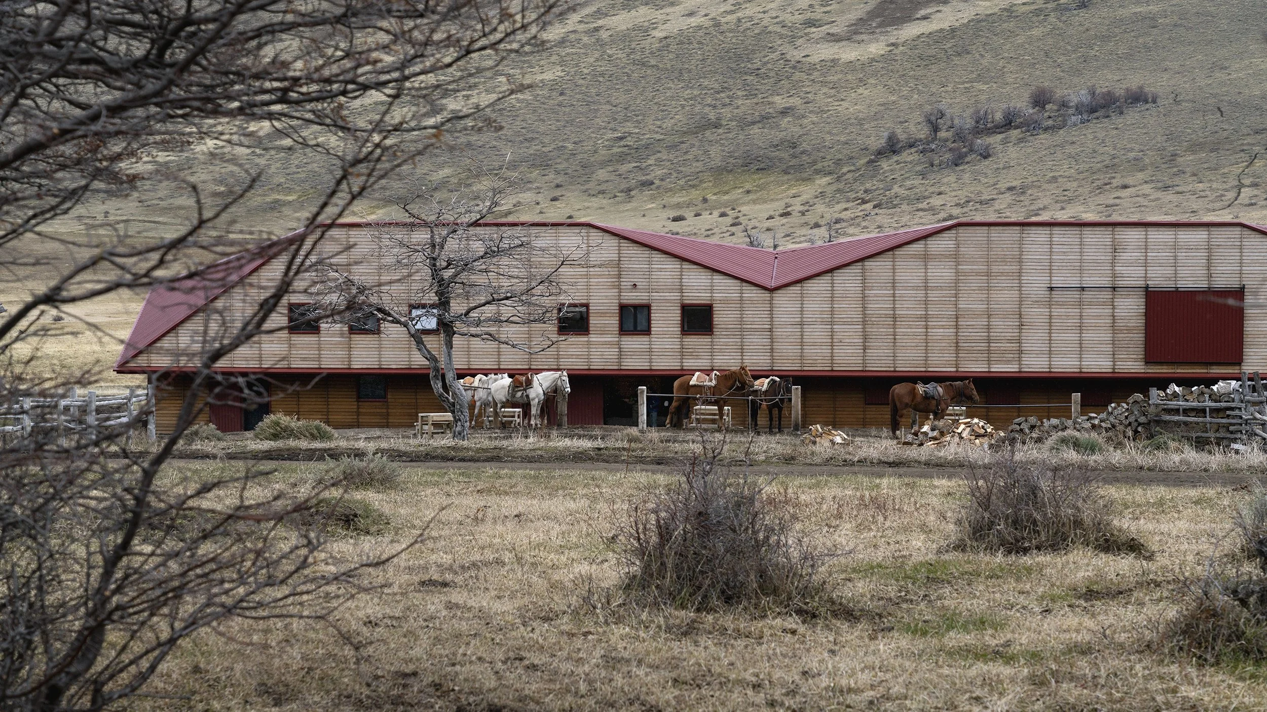Adventure Travel | Horseback riding | equestrian travel | Slow travel | Eco travel | eco hotel  | landscape hotel | nature hotel | nature destination | room and wild | Chile luxury Hotel | Patagonia | Explora Torres del Paine