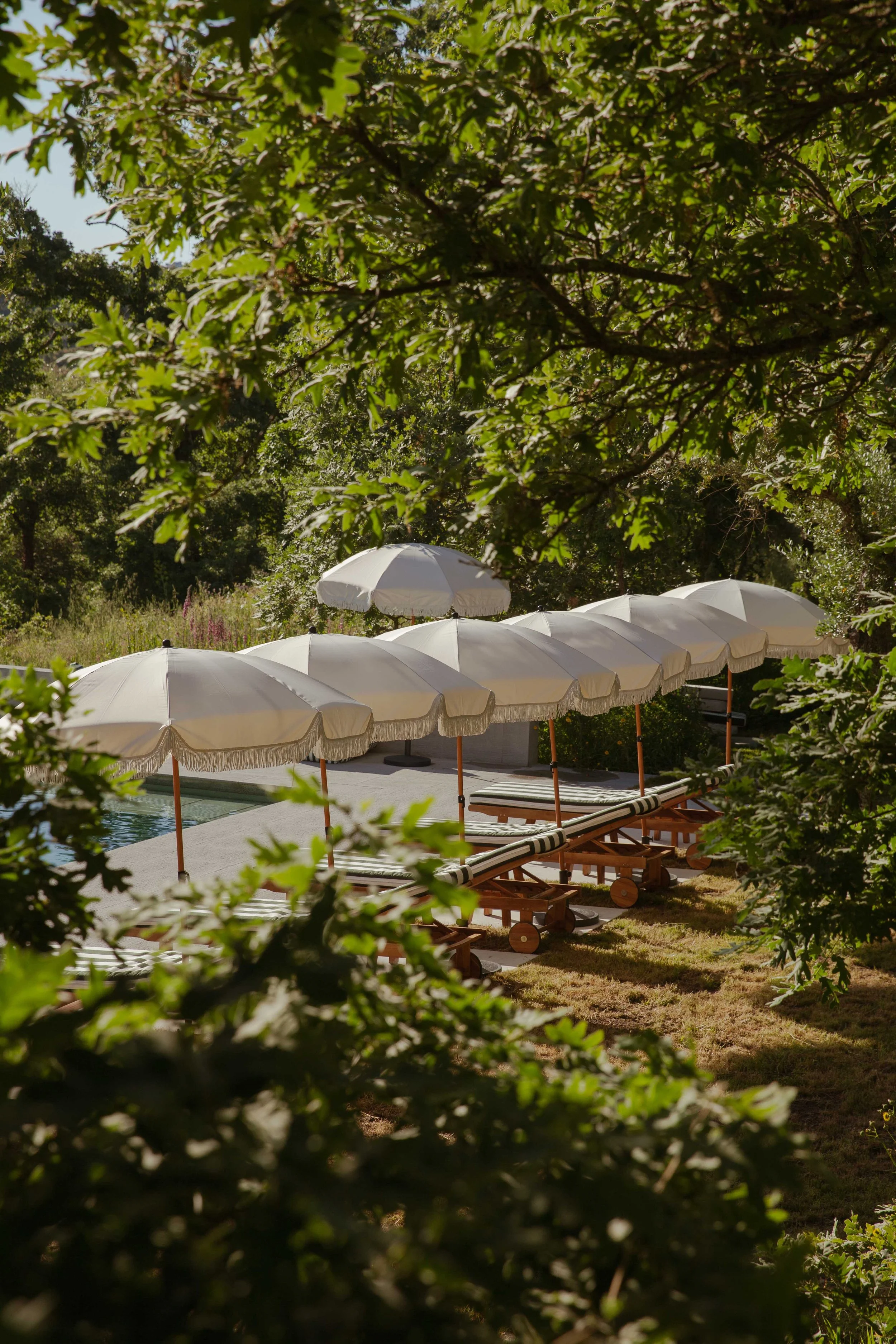 Eco travel | eco hotel | adventure hotel | landscape hotel | nature hotel | nature destination | room and wild |  | Alentejo luxury hotels | | Portugal Hotel | A Sociedade Rural