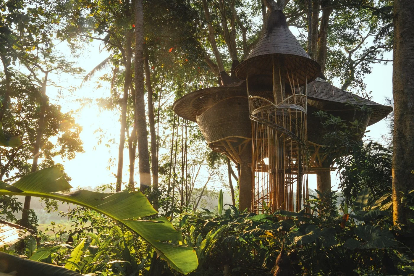 experiential travel | travel guide | travel inspiration | slow travel | adventure travel | nature travel | unique travel experiences | eco travel | sustainable travel | eco lodges | landscape hotels | room and wild | The botanist gin | Bambu Indah