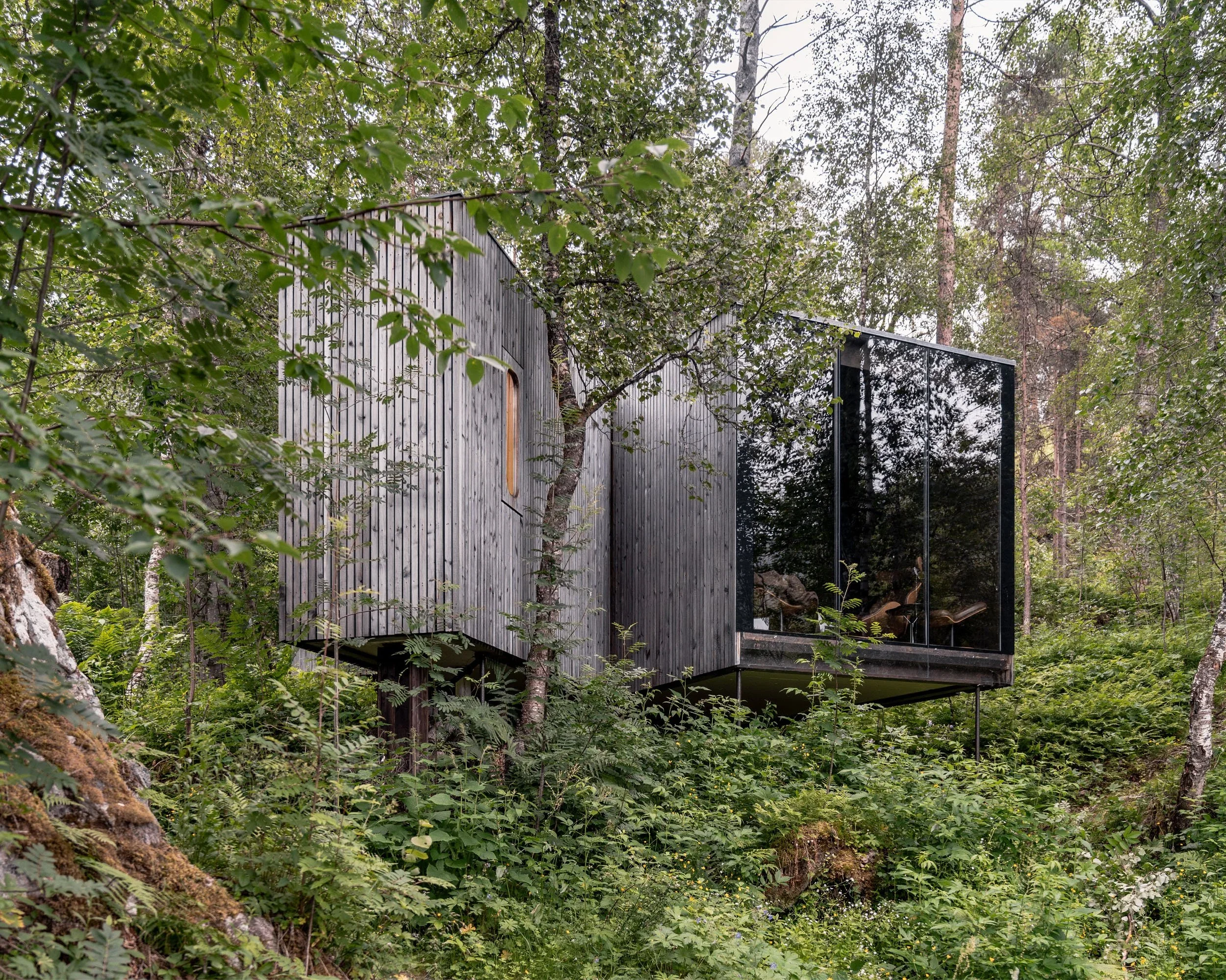 Fall Foliage | Norway hotel | Eco travel | eco hotel | Slow travel | landscape hotel | nature hotel | nature destination | room and wild | Juvet Landscape Hotel
