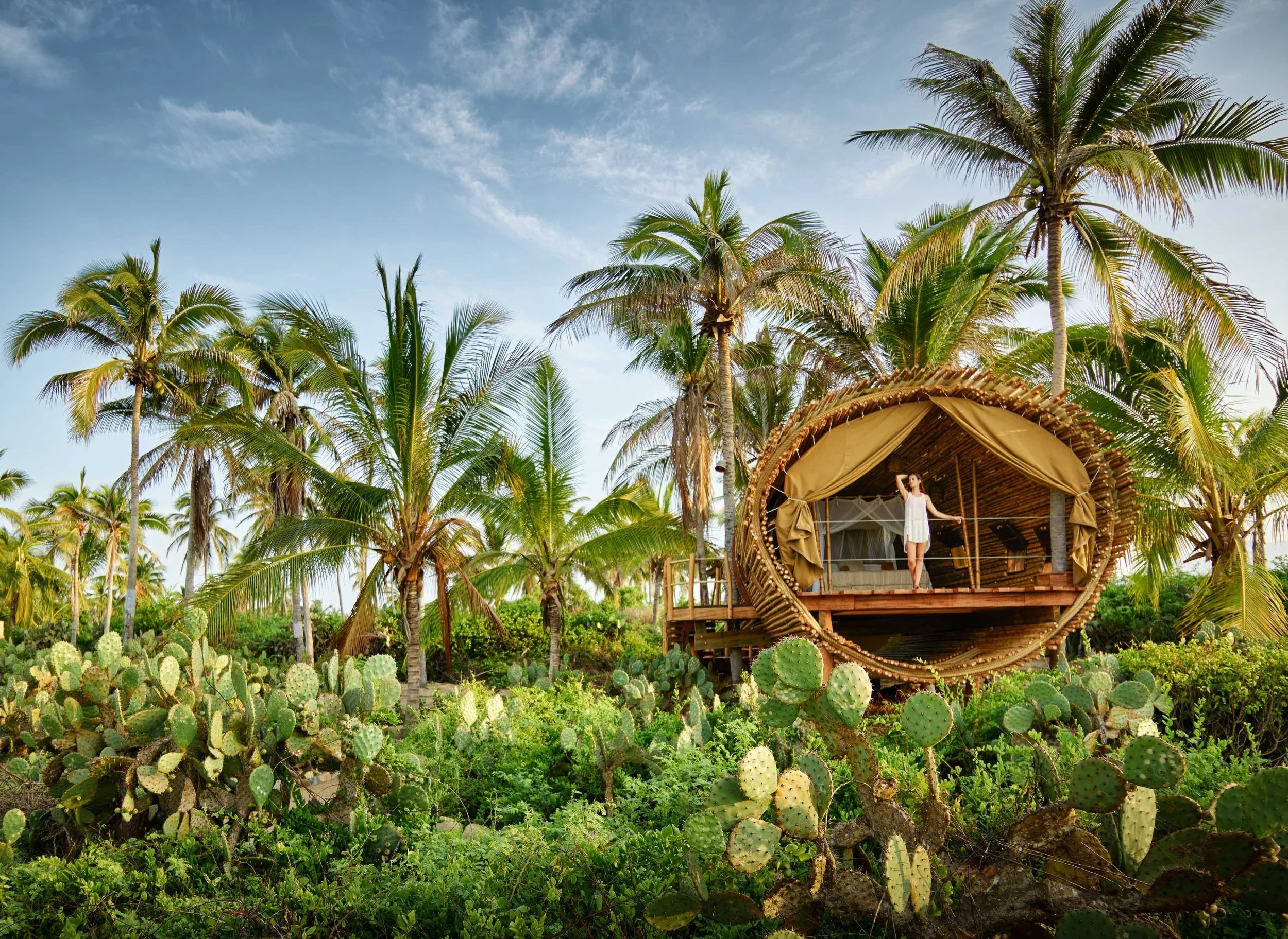 Mexico eco Hotel | Eco travel | eco hotel | adventure hotel | landscape hotel | nature hotel | nature destination | room and wild | cacao | experiential travel | Playa Viva