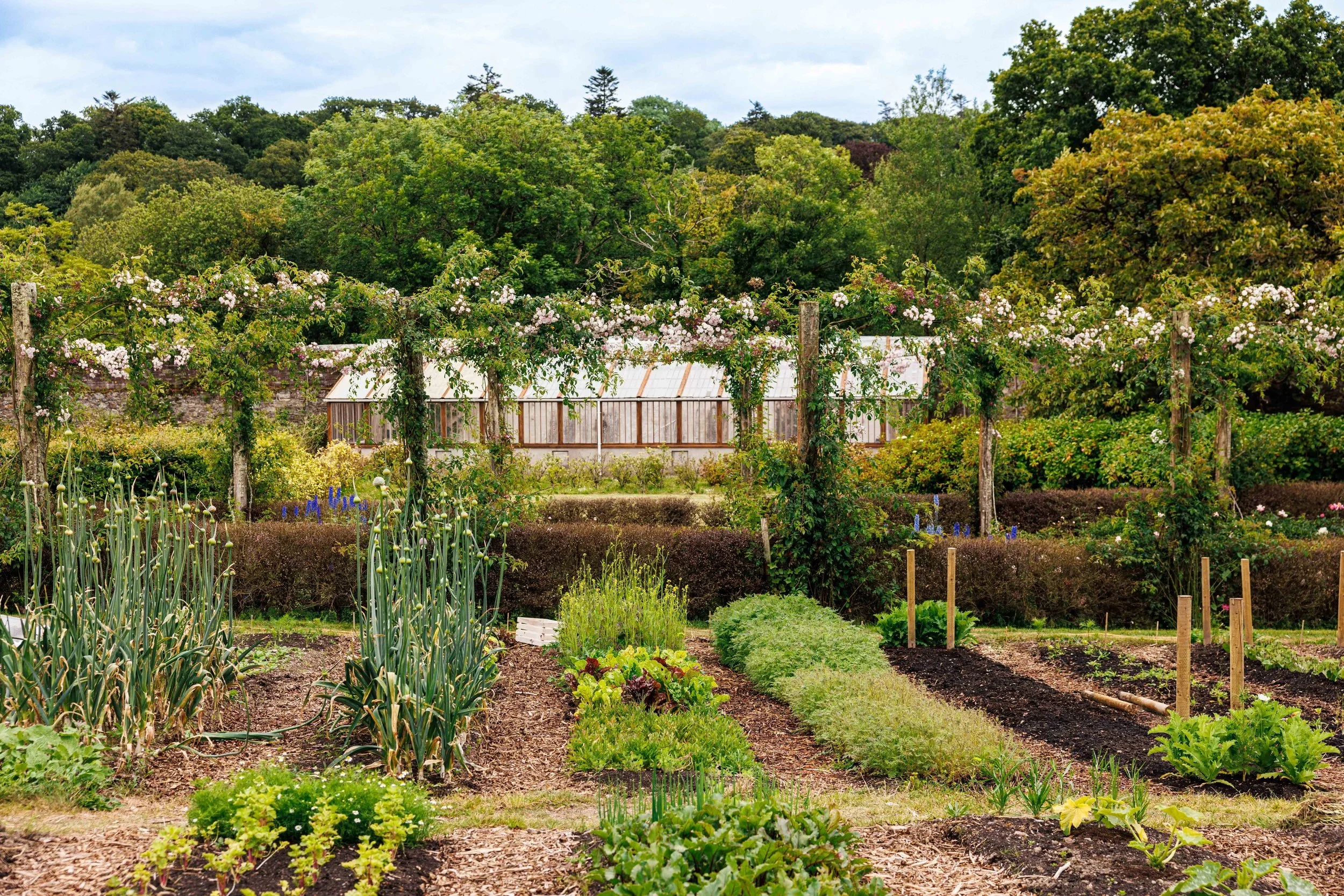 Mount Congreve Gardens | Garden Hotels | Ireland Hotels | Nature Hotels | Eco travel | eco luxury | nature destination | Landscape Hotels | Waterford hotels | Mount Congreve Gardens and Country Estate