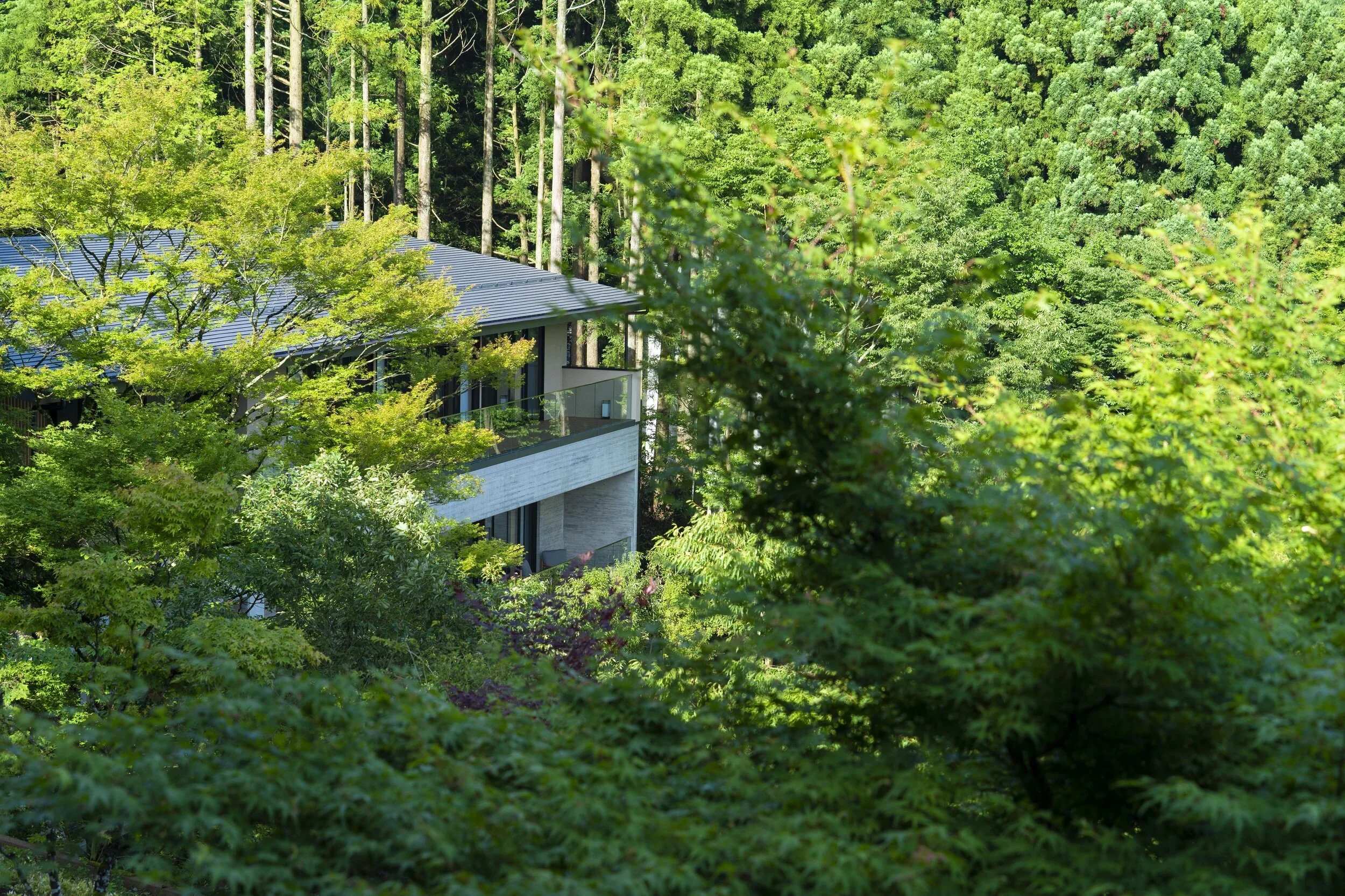 luxury hotel Japan | immersive experiences | creative travel | Eco travel | eco hotel | landscape hotel | nature hotel | nature destination | room and wild | Japan Ryokan Hakone | | KAI Sengokuhara