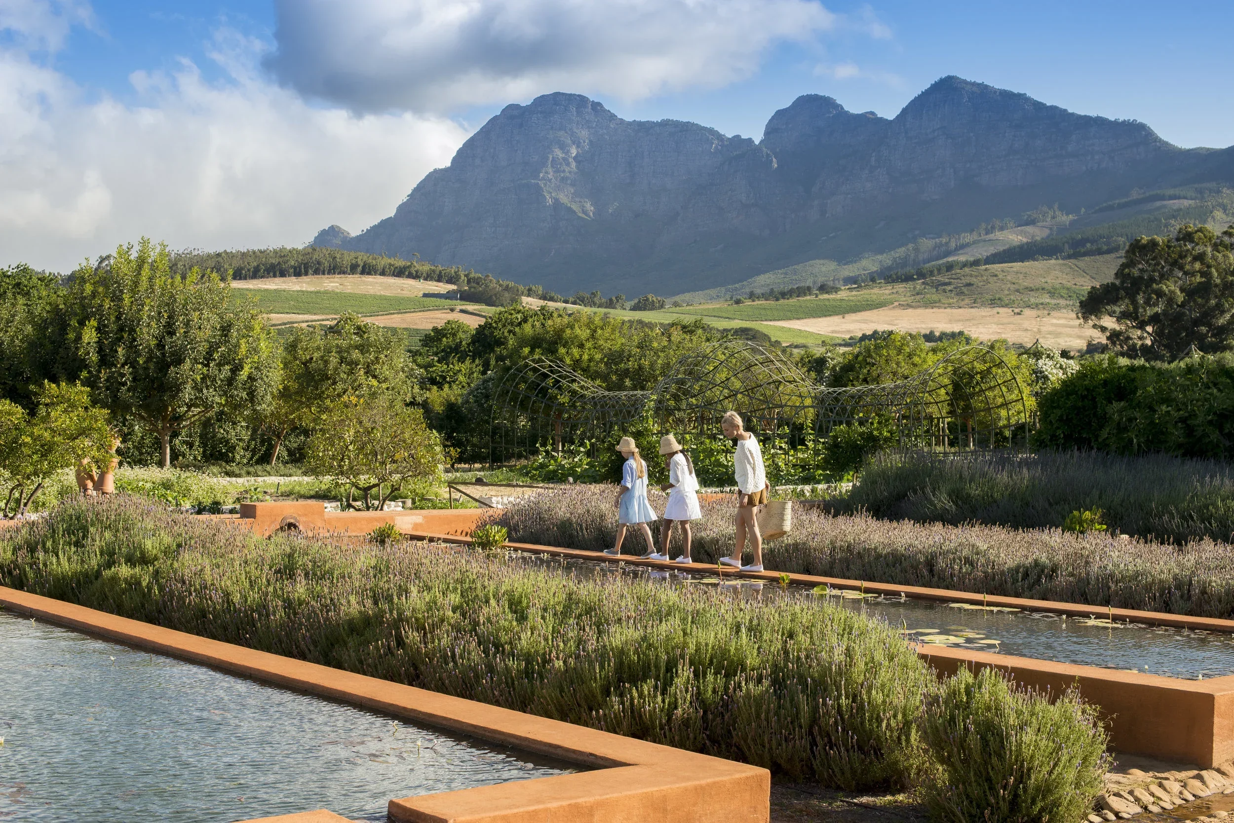 Farm hotels | Botanical Hotels | Botanical Gardens | Wellness Travel | Garden Hotels | Eco travel | eco hotel | Slow travel | landscape hotel | nature hotel | nature destination | room and wild | South Africa luxury Hotel | Babylonstoren