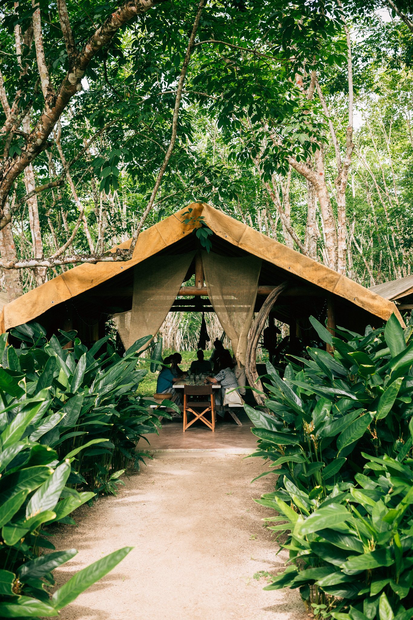 Sustainable Hotels | Brazil Hotels | Eco travel | eco hotel | Slow travel | landscape hotel | nature hotel | nature destination | room and wild | Brazil boutique Hotel | Uxua Casa