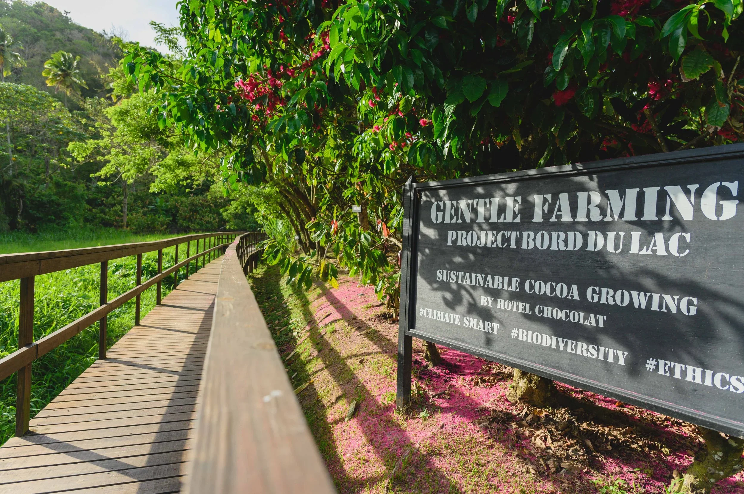 Eco travel | eco hotel | caribbean hotel | luxury hotel st lucia | | landscape hotel | nature hotel | nature destination | room and wild | Saint Lucia | Rabot Hotel, Hotel Chocolat