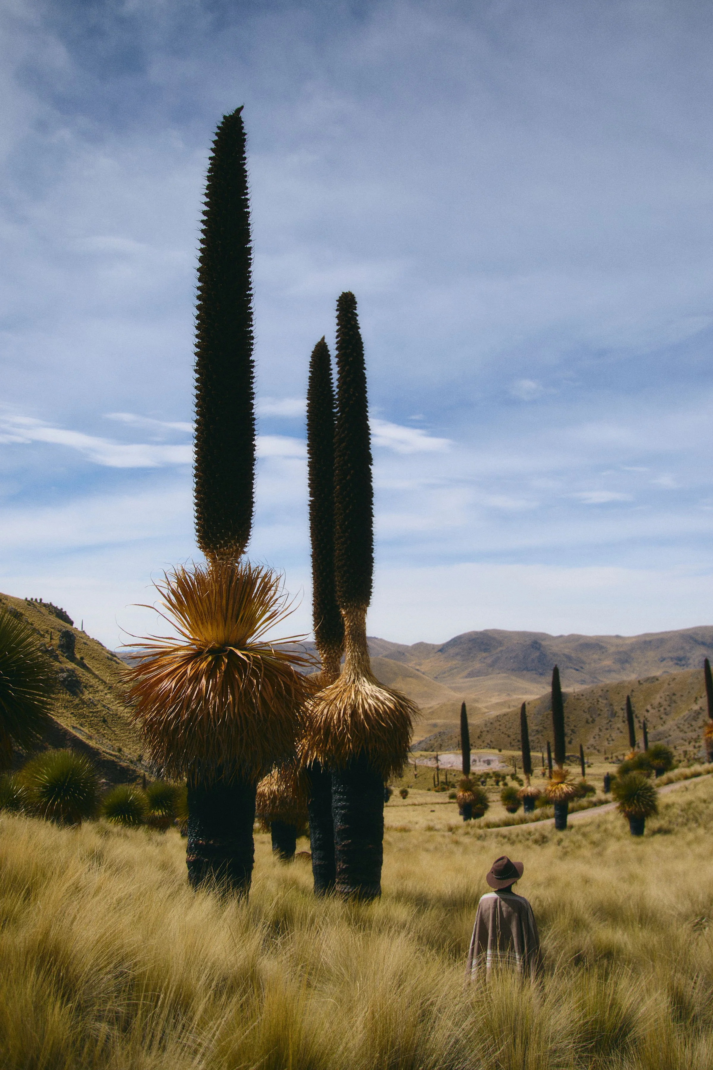 Experiential travel | Adventure hotel | adventure travel  | Eco travel | eco hotel | landscape hotel | nature hotel | nature destination | room and wild | Glamping | Peru luxury hotel | Tanajani by Andean